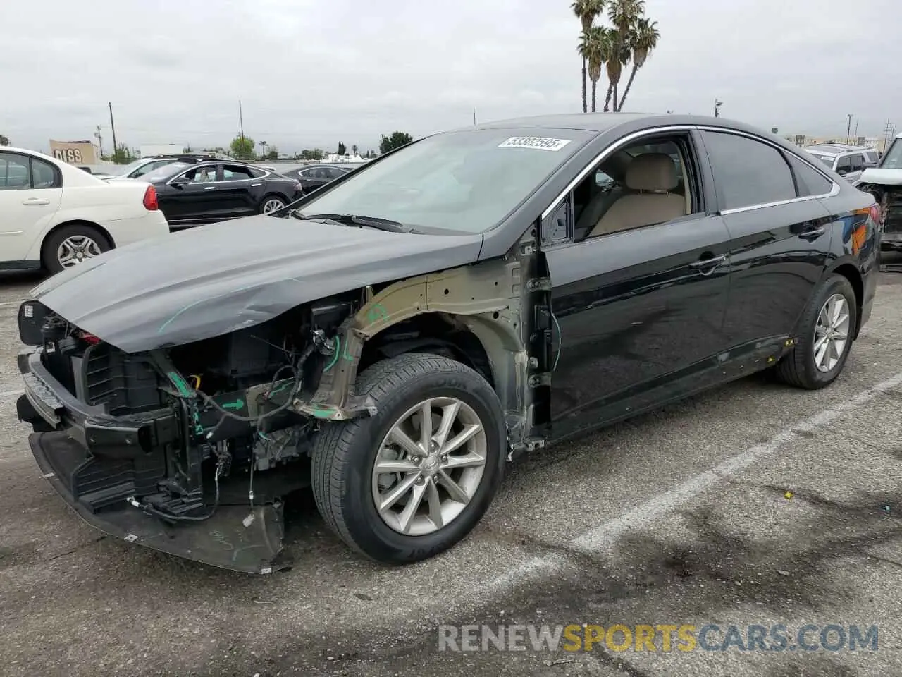 1 Photograph of a damaged car 5NPE24AF5KH806898 HYUNDAI SONATA 2019