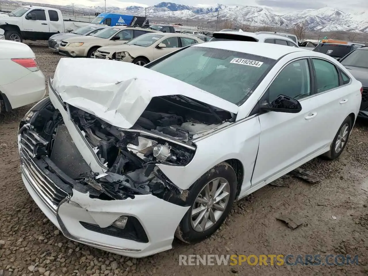 1 Photograph of a damaged car 5NPE24AF5KH811356 HYUNDAI SONATA 2019
