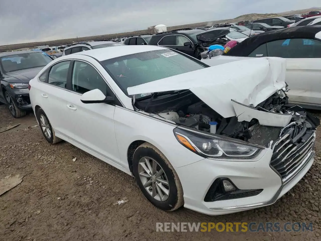 4 Photograph of a damaged car 5NPE24AF5KH811356 HYUNDAI SONATA 2019