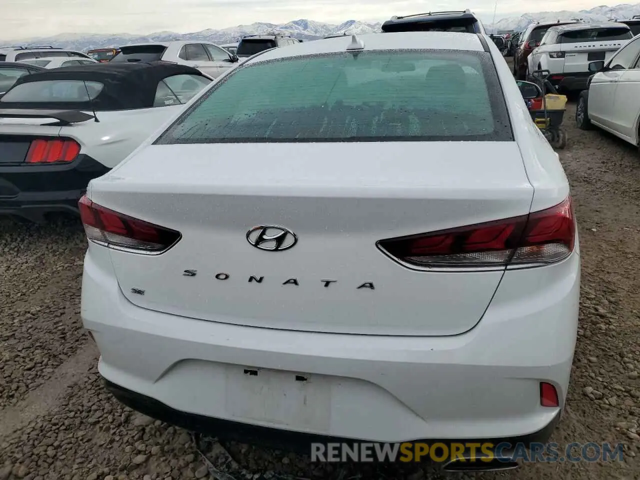 6 Photograph of a damaged car 5NPE24AF5KH811356 HYUNDAI SONATA 2019