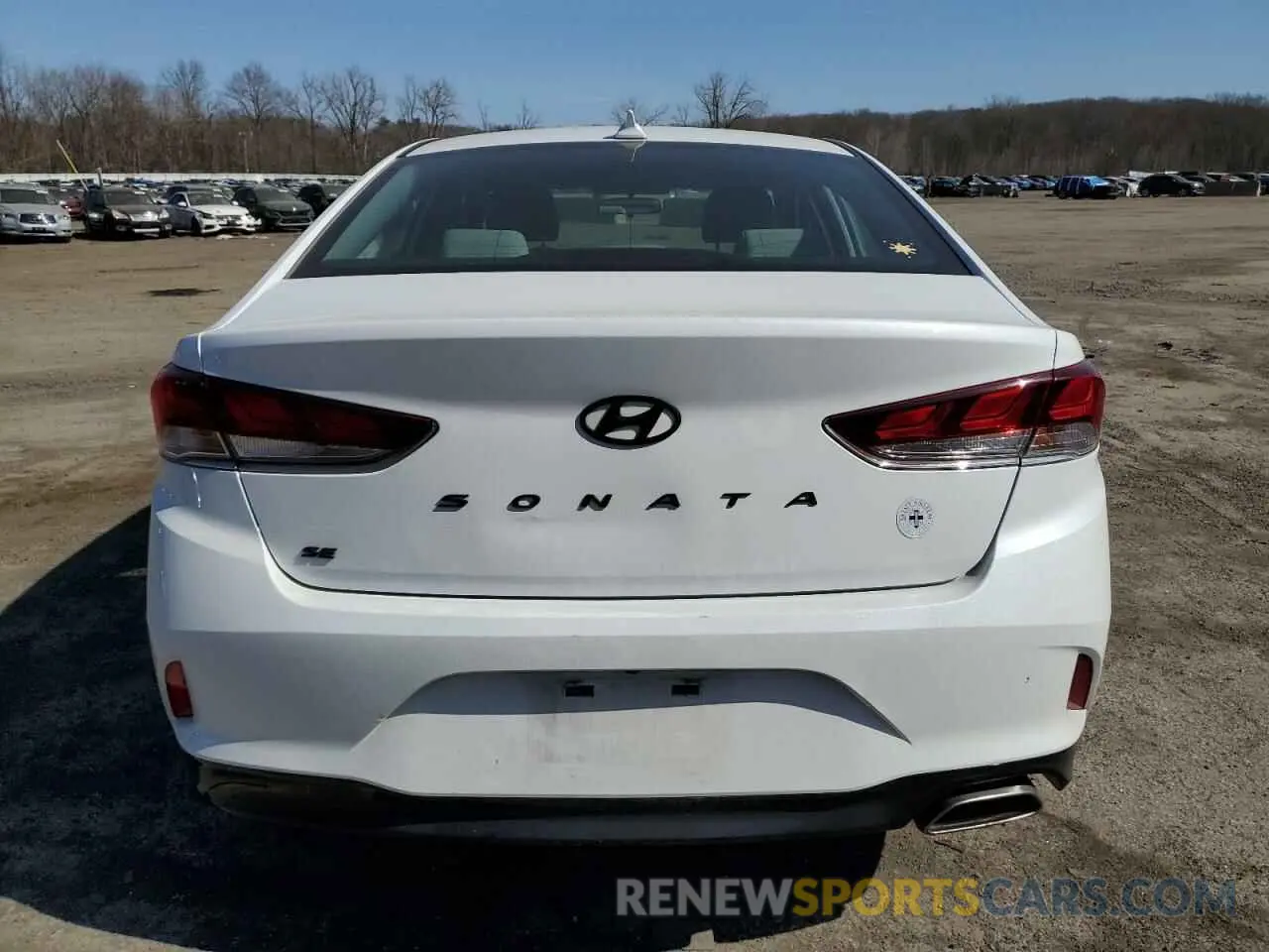 6 Photograph of a damaged car 5NPE24AF5KH813480 HYUNDAI SONATA 2019