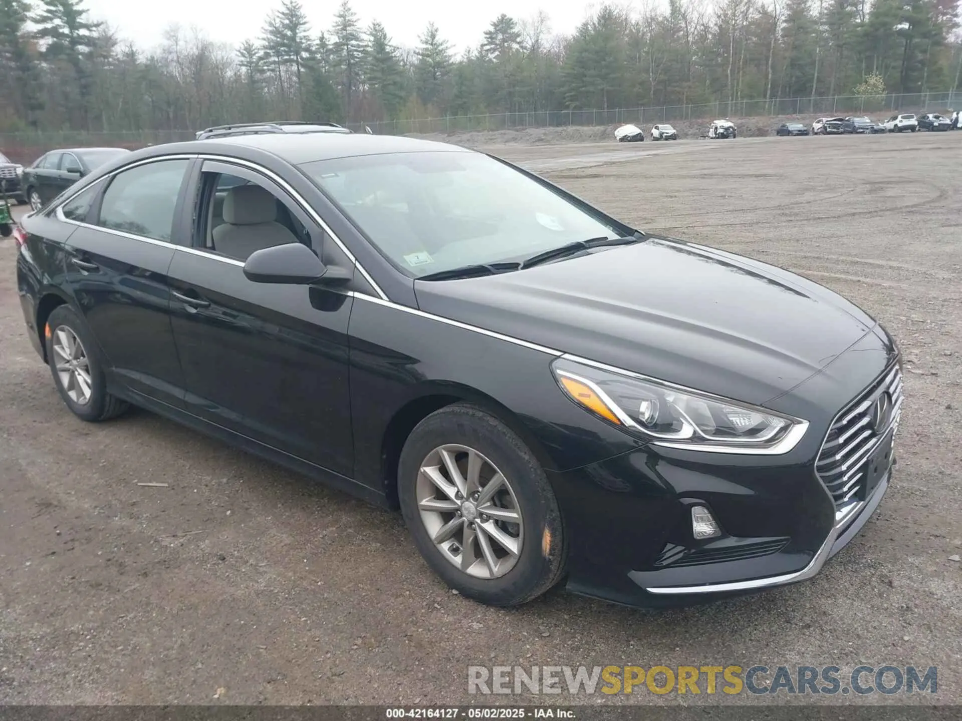 1 Photograph of a damaged car 5NPE24AF6KH726851 HYUNDAI SONATA 2019