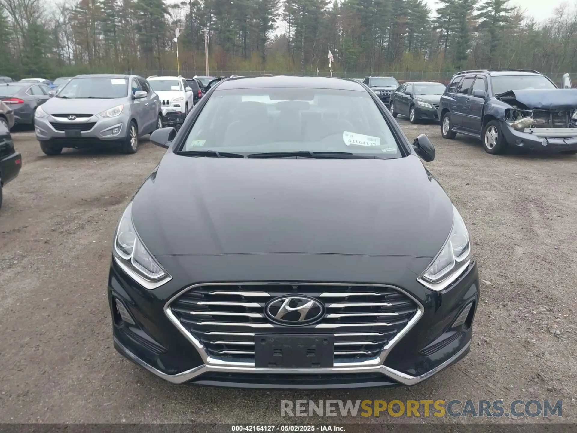 13 Photograph of a damaged car 5NPE24AF6KH726851 HYUNDAI SONATA 2019