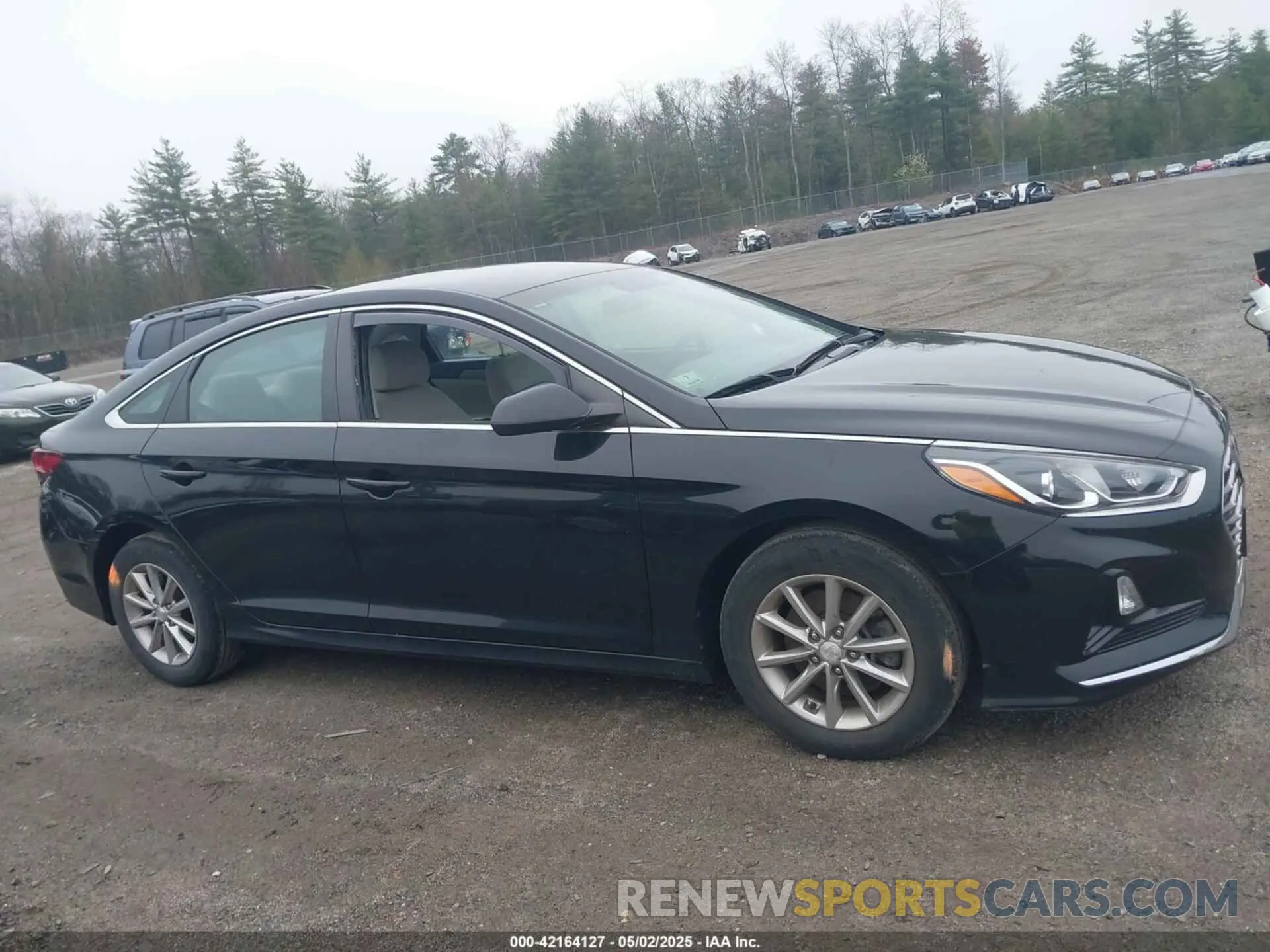 14 Photograph of a damaged car 5NPE24AF6KH726851 HYUNDAI SONATA 2019