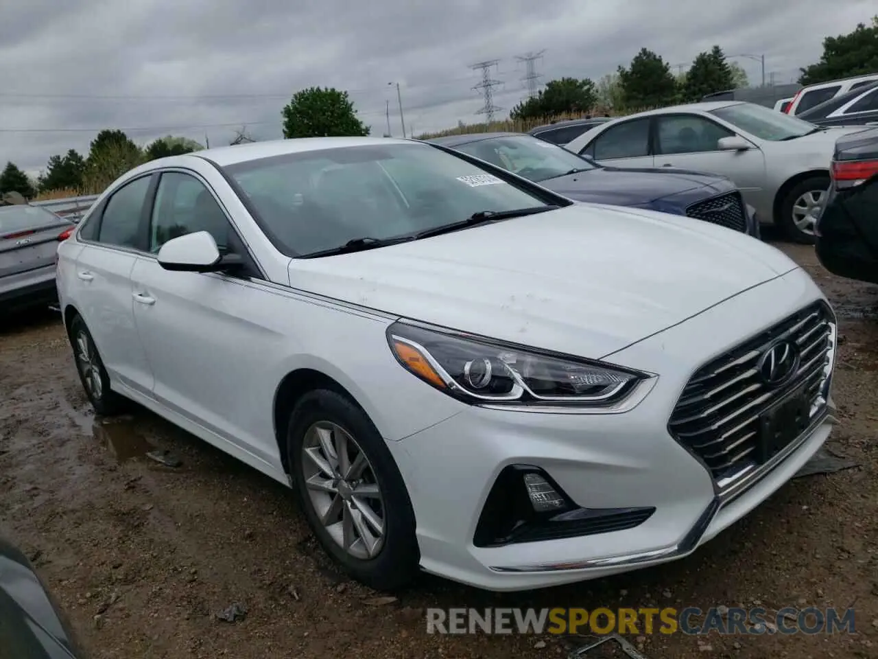 4 Photograph of a damaged car 5NPE24AF6KH737736 HYUNDAI SONATA 2019