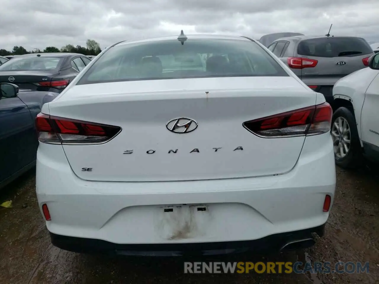 6 Photograph of a damaged car 5NPE24AF6KH737736 HYUNDAI SONATA 2019