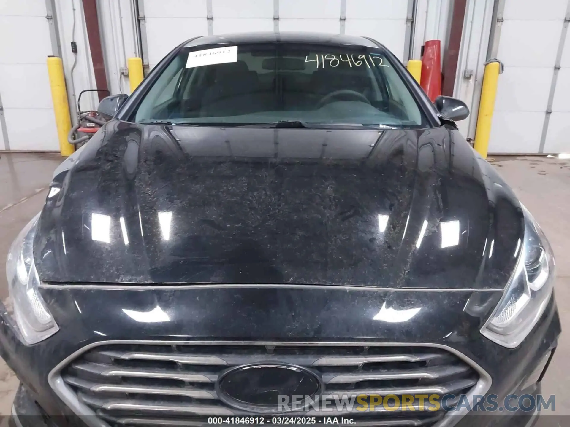 13 Photograph of a damaged car 5NPE24AF6KH741494 HYUNDAI SONATA 2019