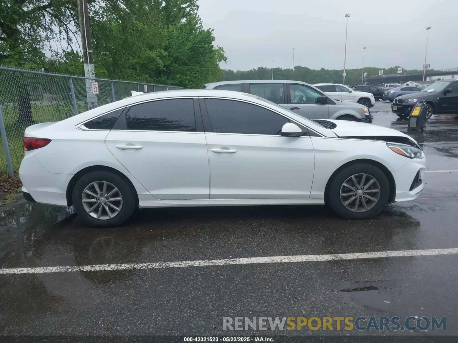 13 Photograph of a damaged car 5NPE24AF6KH741981 HYUNDAI SONATA 2019