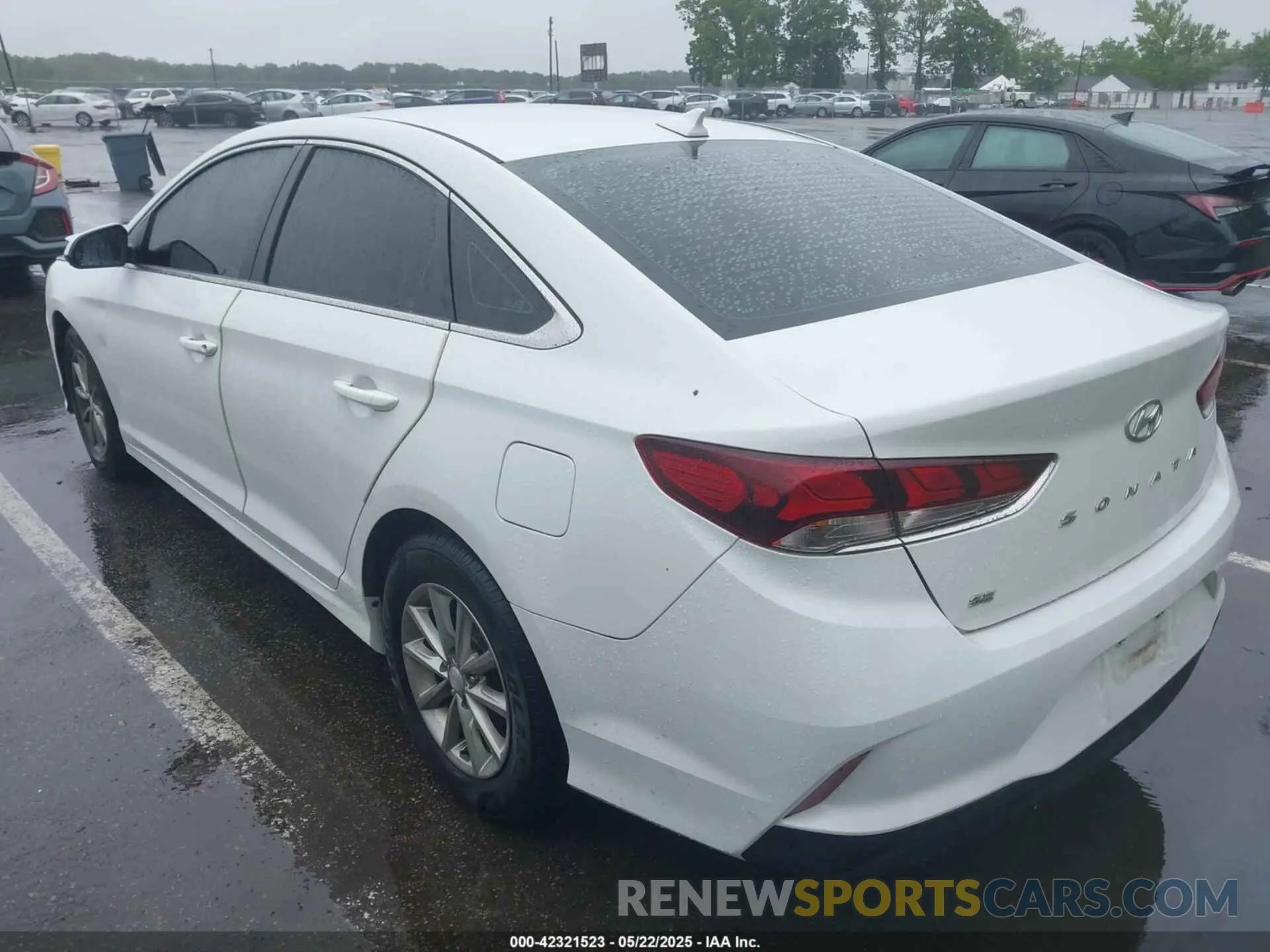 3 Photograph of a damaged car 5NPE24AF6KH741981 HYUNDAI SONATA 2019