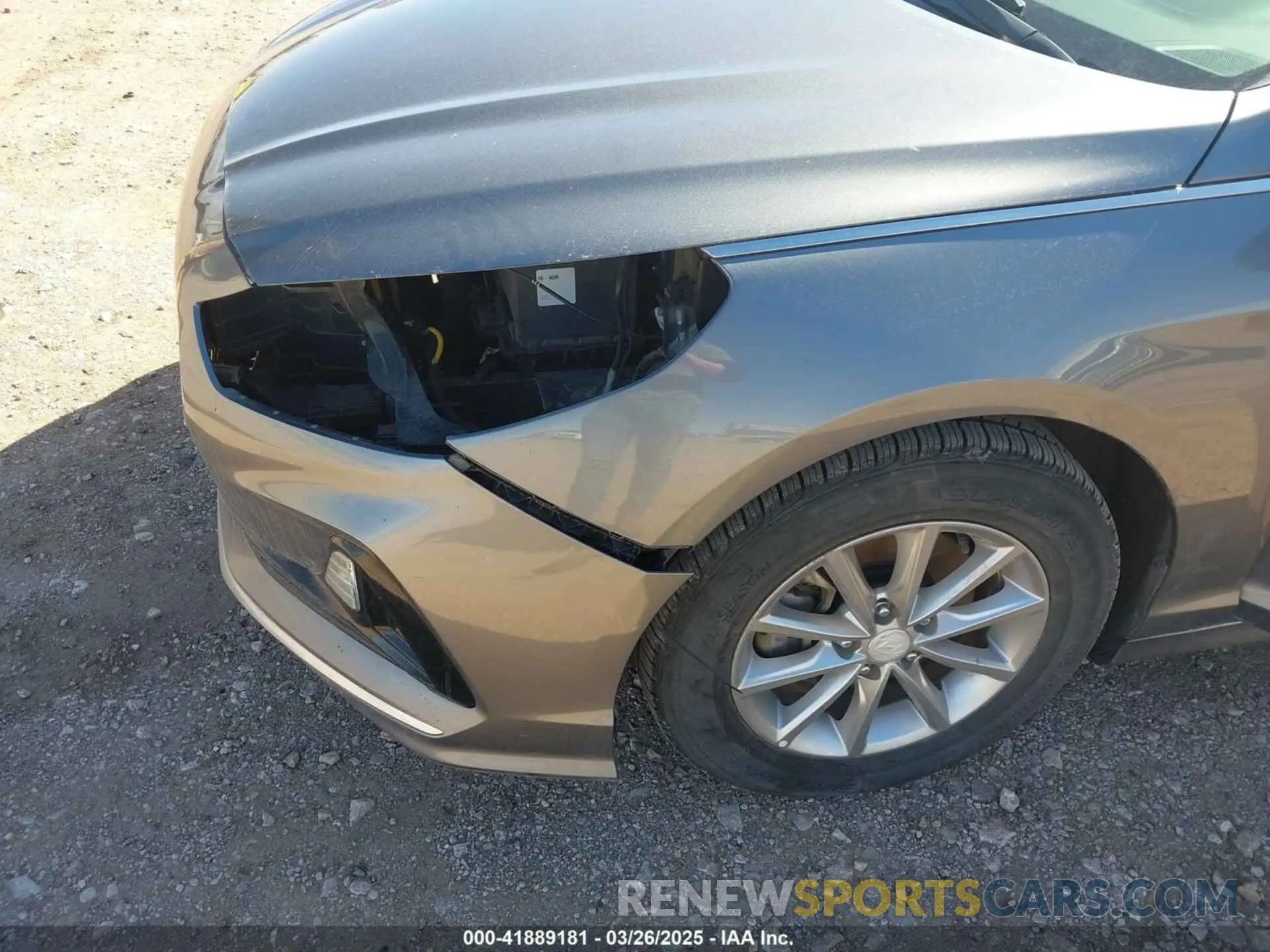 6 Photograph of a damaged car 5NPE24AF6KH743102 HYUNDAI SONATA 2019