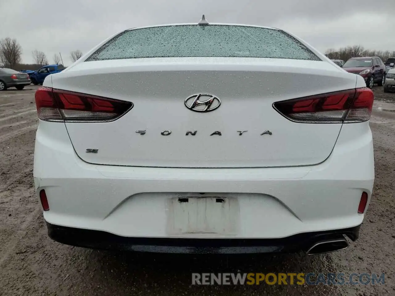 6 Photograph of a damaged car 5NPE24AF6KH756397 HYUNDAI SONATA 2019