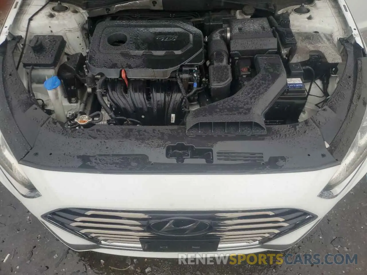 12 Photograph of a damaged car 5NPE24AF6KH776231 HYUNDAI SONATA 2019