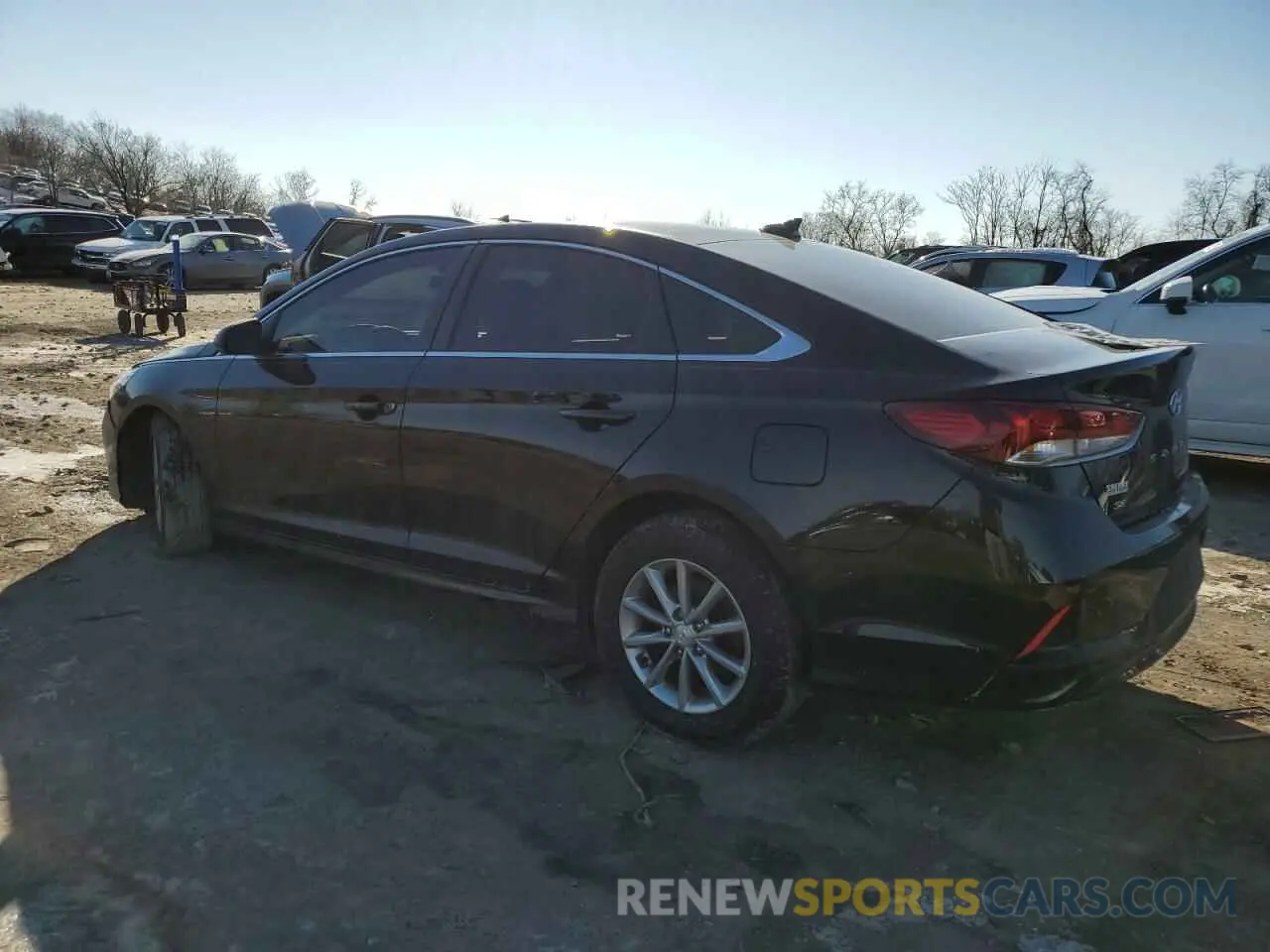 2 Photograph of a damaged car 5NPE24AF6KH780389 HYUNDAI SONATA 2019