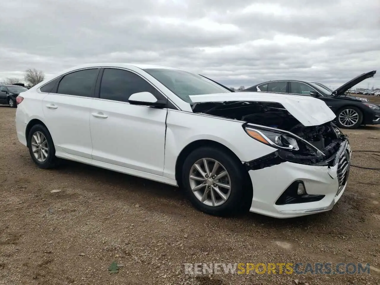 4 Photograph of a damaged car 5NPE24AF6KH782448 HYUNDAI SONATA 2019