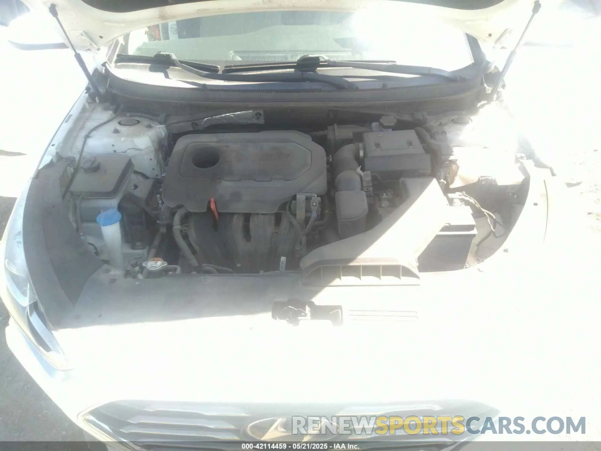 10 Photograph of a damaged car 5NPE24AF6KH791294 HYUNDAI SONATA 2019