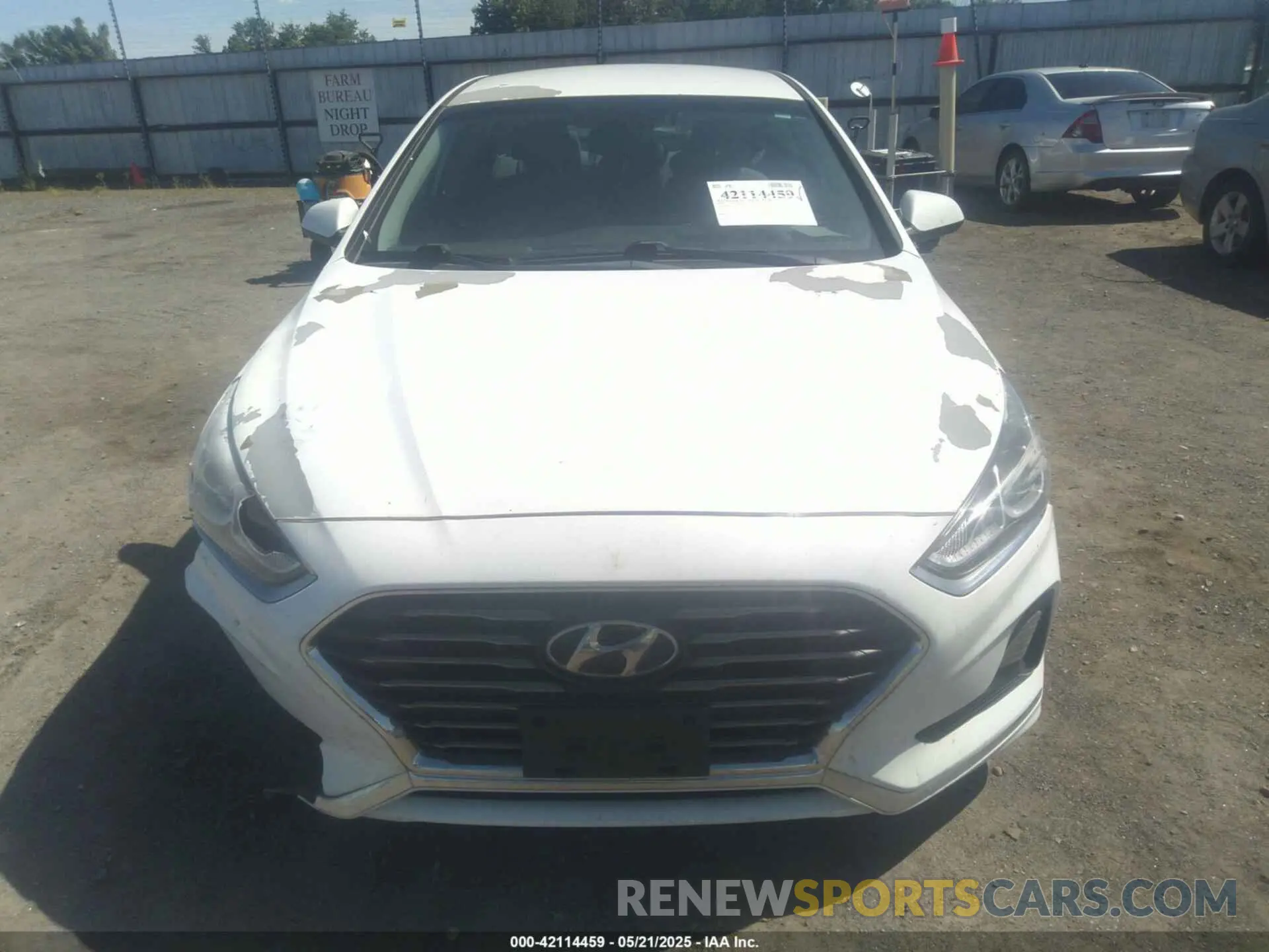 13 Photograph of a damaged car 5NPE24AF6KH791294 HYUNDAI SONATA 2019