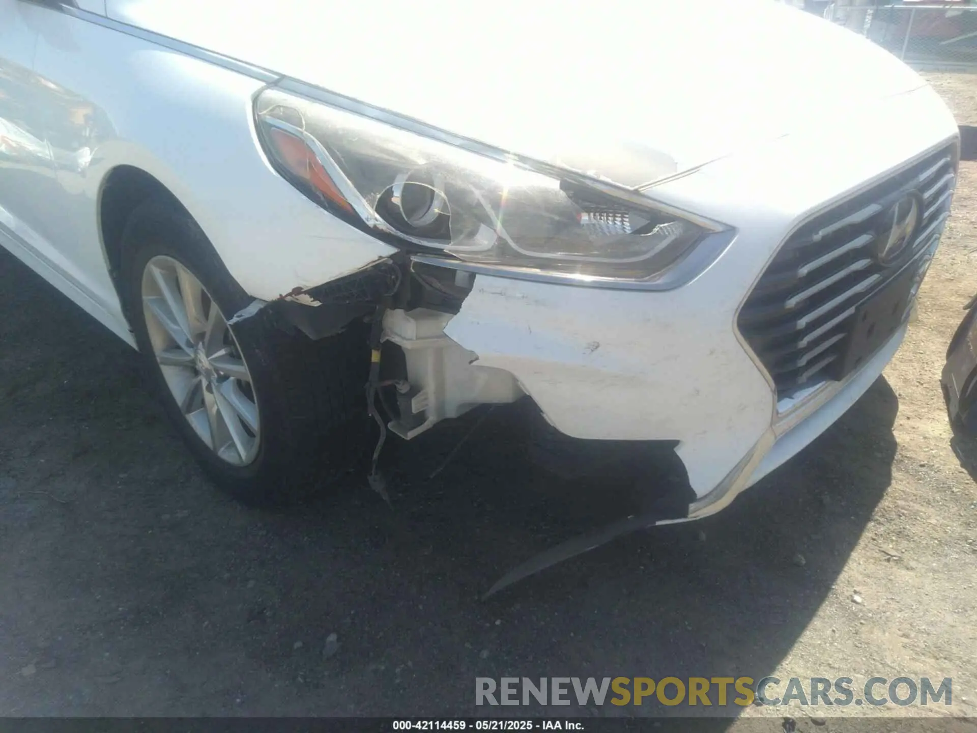 6 Photograph of a damaged car 5NPE24AF6KH791294 HYUNDAI SONATA 2019