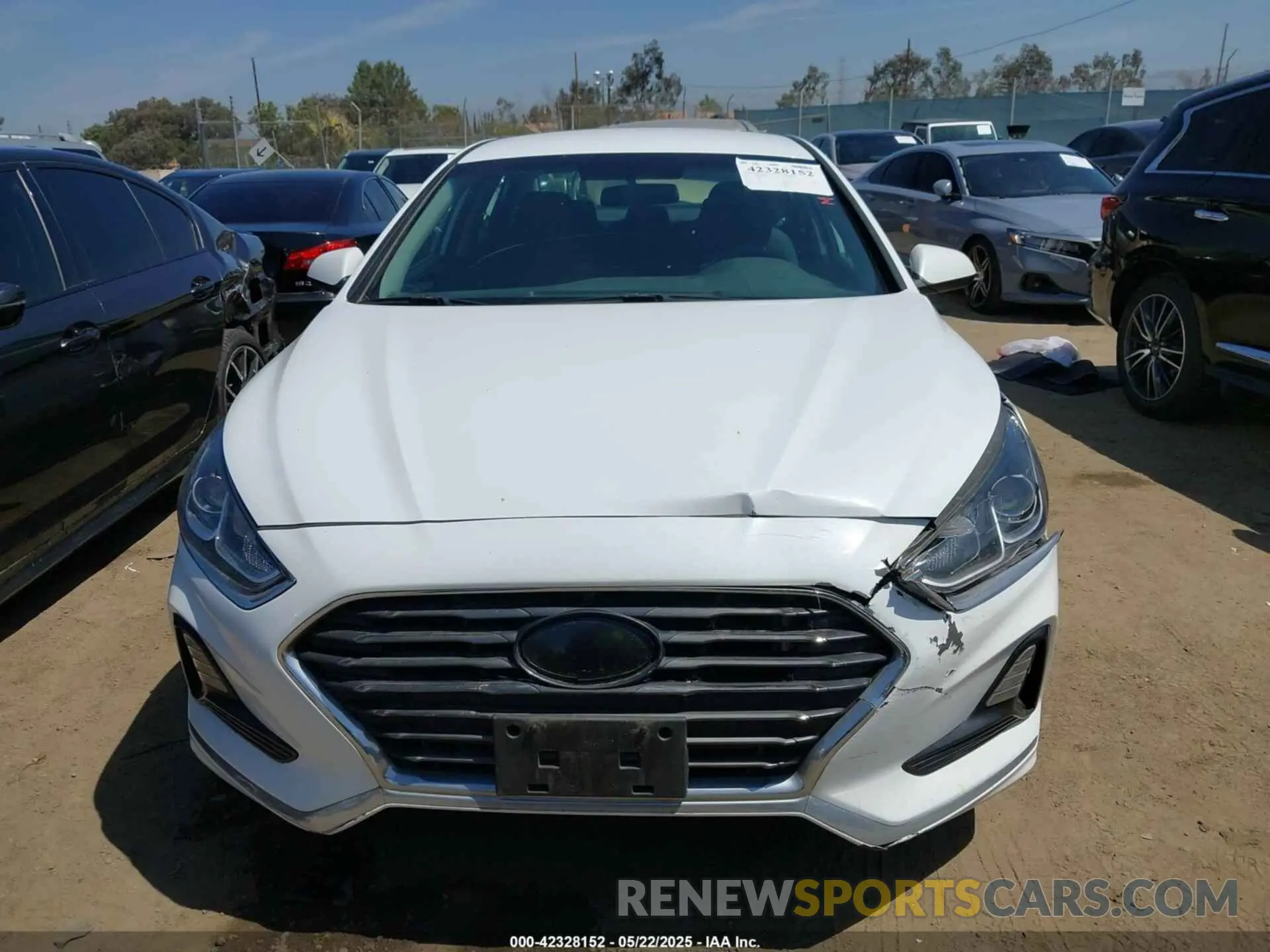 12 Photograph of a damaged car 5NPE24AF7KH736238 HYUNDAI SONATA 2019