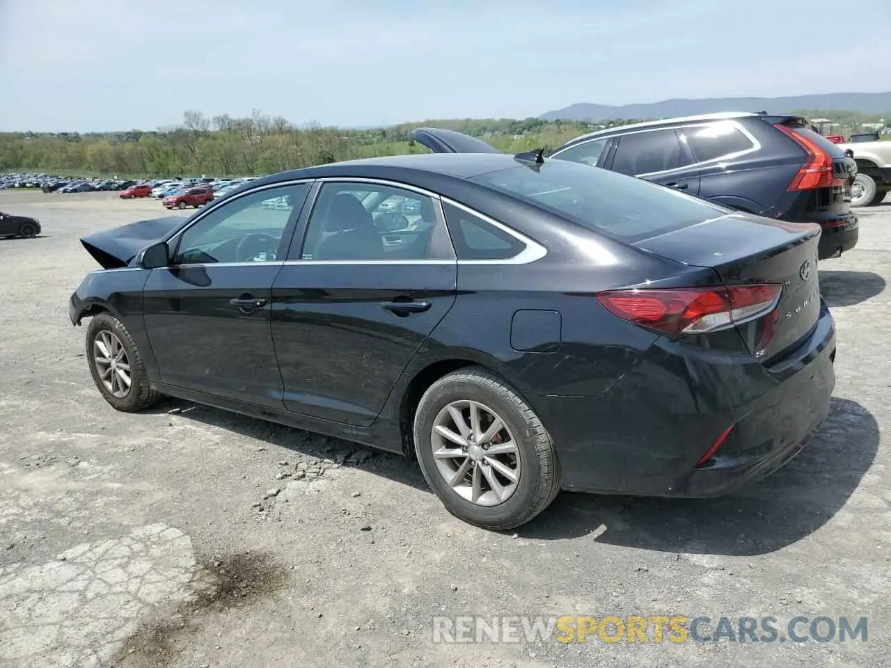 2 Photograph of a damaged car 5NPE24AF7KH736272 HYUNDAI SONATA 2019
