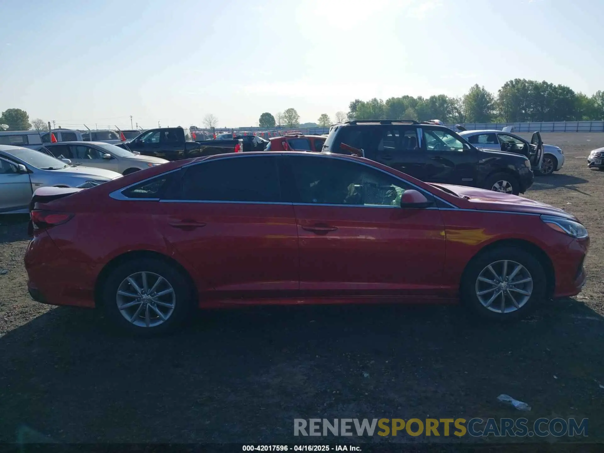 13 Photograph of a damaged car 5NPE24AF7KH740256 HYUNDAI SONATA 2019
