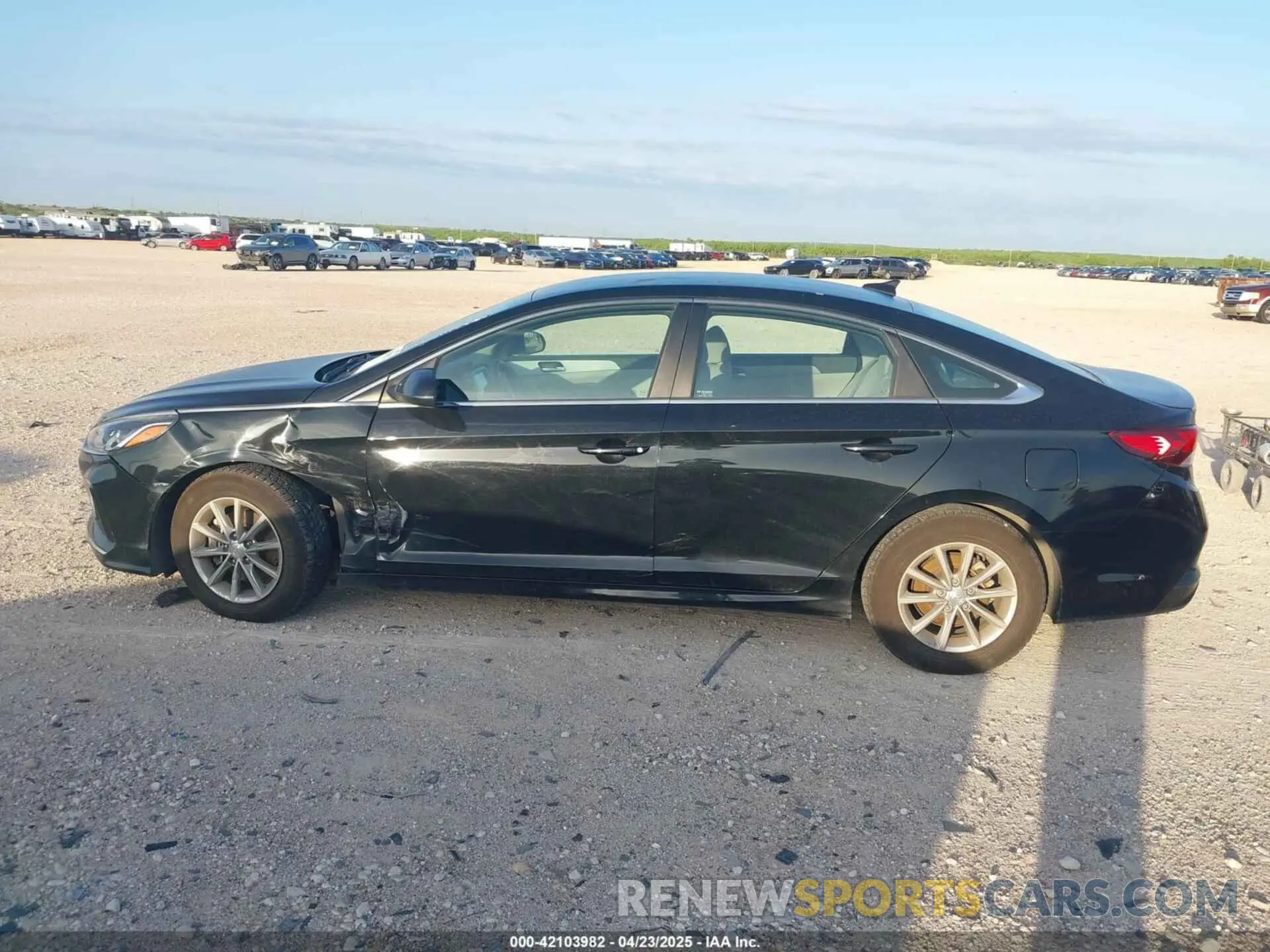 14 Photograph of a damaged car 5NPE24AF8KH777929 HYUNDAI SONATA 2019