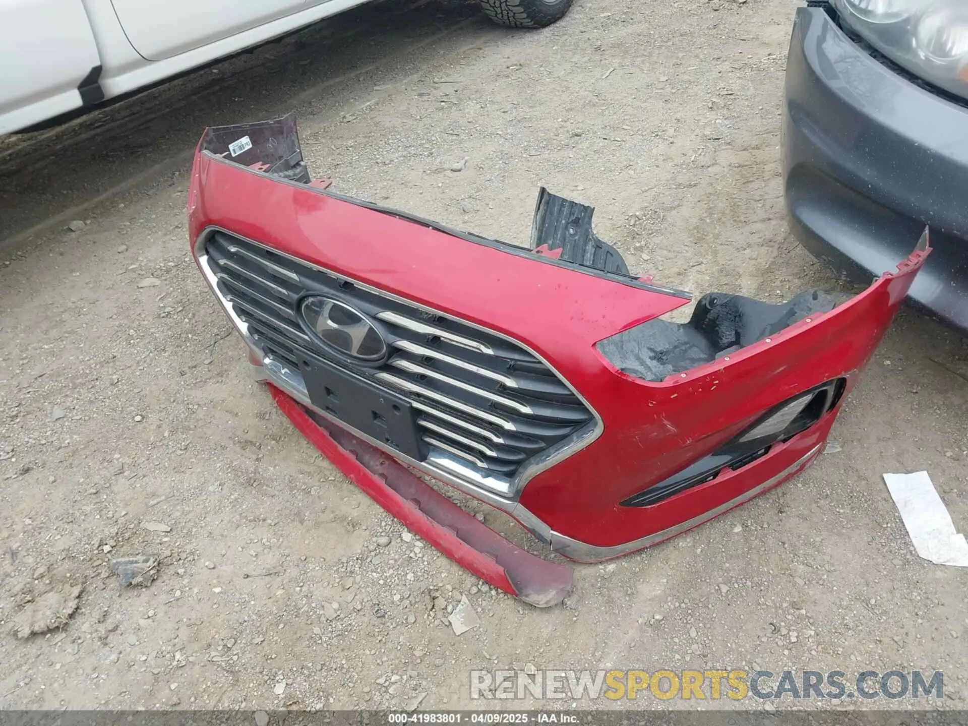 12 Photograph of a damaged car 5NPE24AF8KH789935 HYUNDAI SONATA 2019