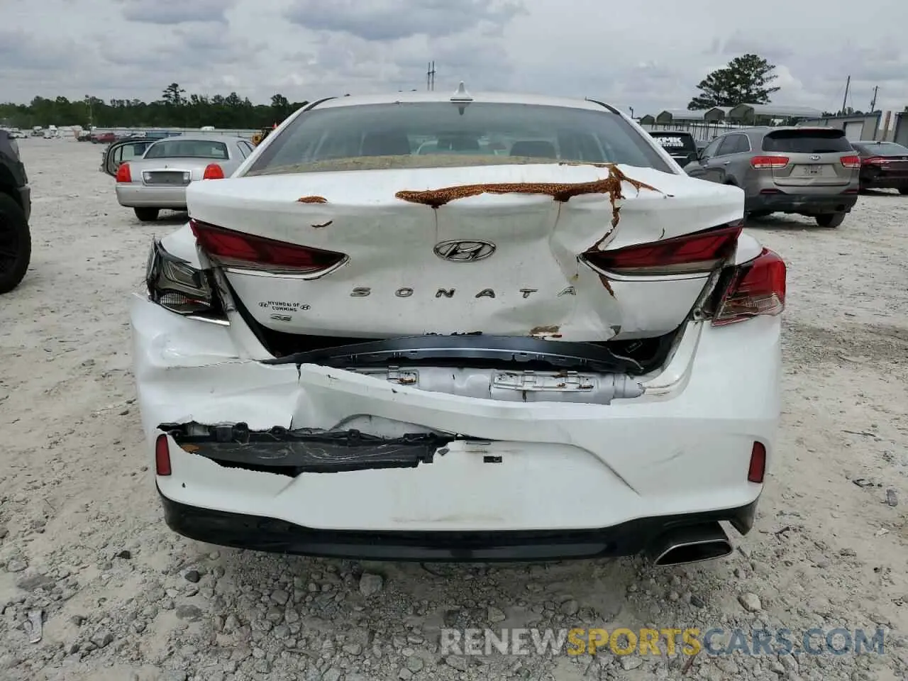 6 Photograph of a damaged car 5NPE24AF8KH793273 HYUNDAI SONATA 2019