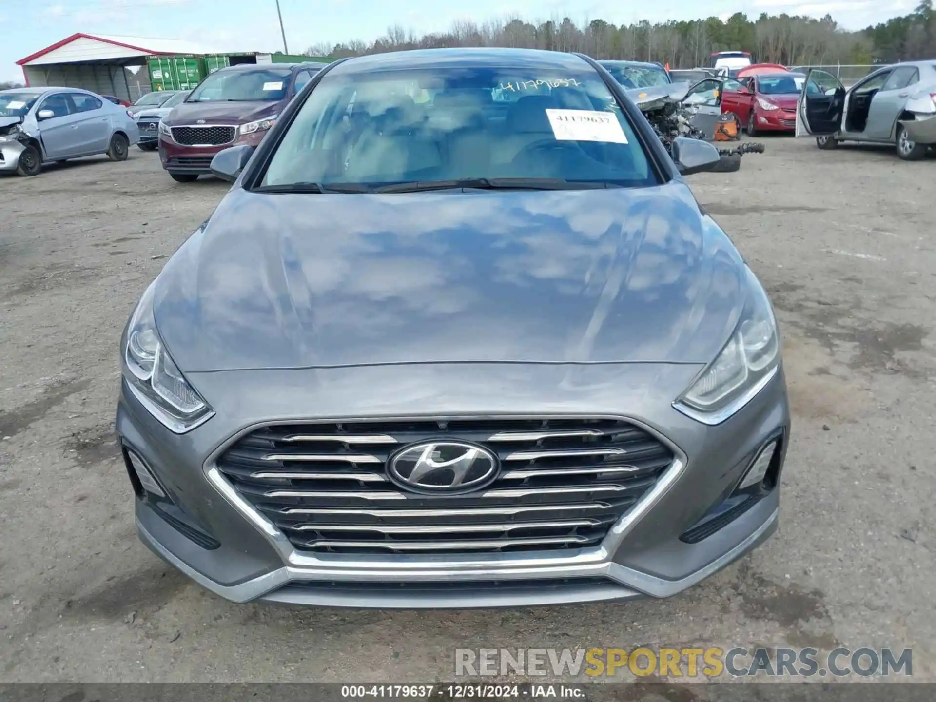 13 Photograph of a damaged car 5NPE24AF8KH800304 HYUNDAI SONATA 2019