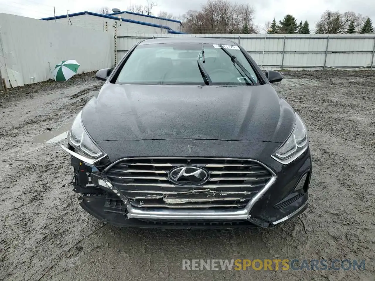 5 Photograph of a damaged car 5NPE24AF8KH806006 HYUNDAI SONATA 2019