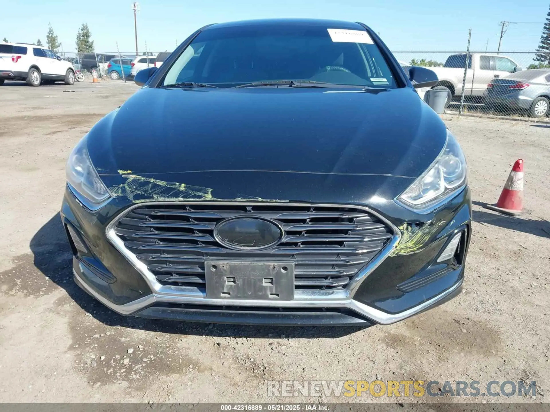 12 Photograph of a damaged car 5NPE24AF9KH736029 HYUNDAI SONATA 2019