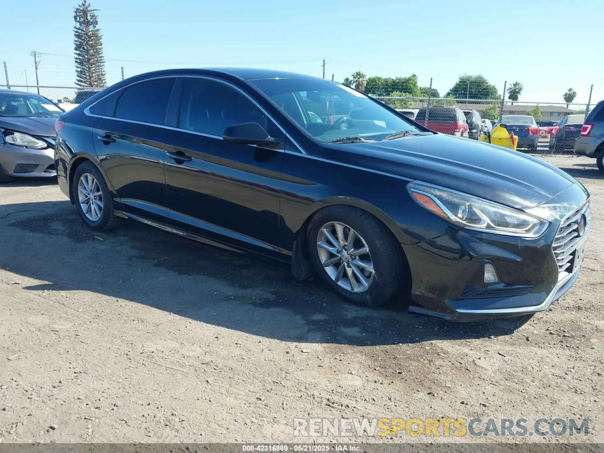 13 Photograph of a damaged car 5NPE24AF9KH736029 HYUNDAI SONATA 2019