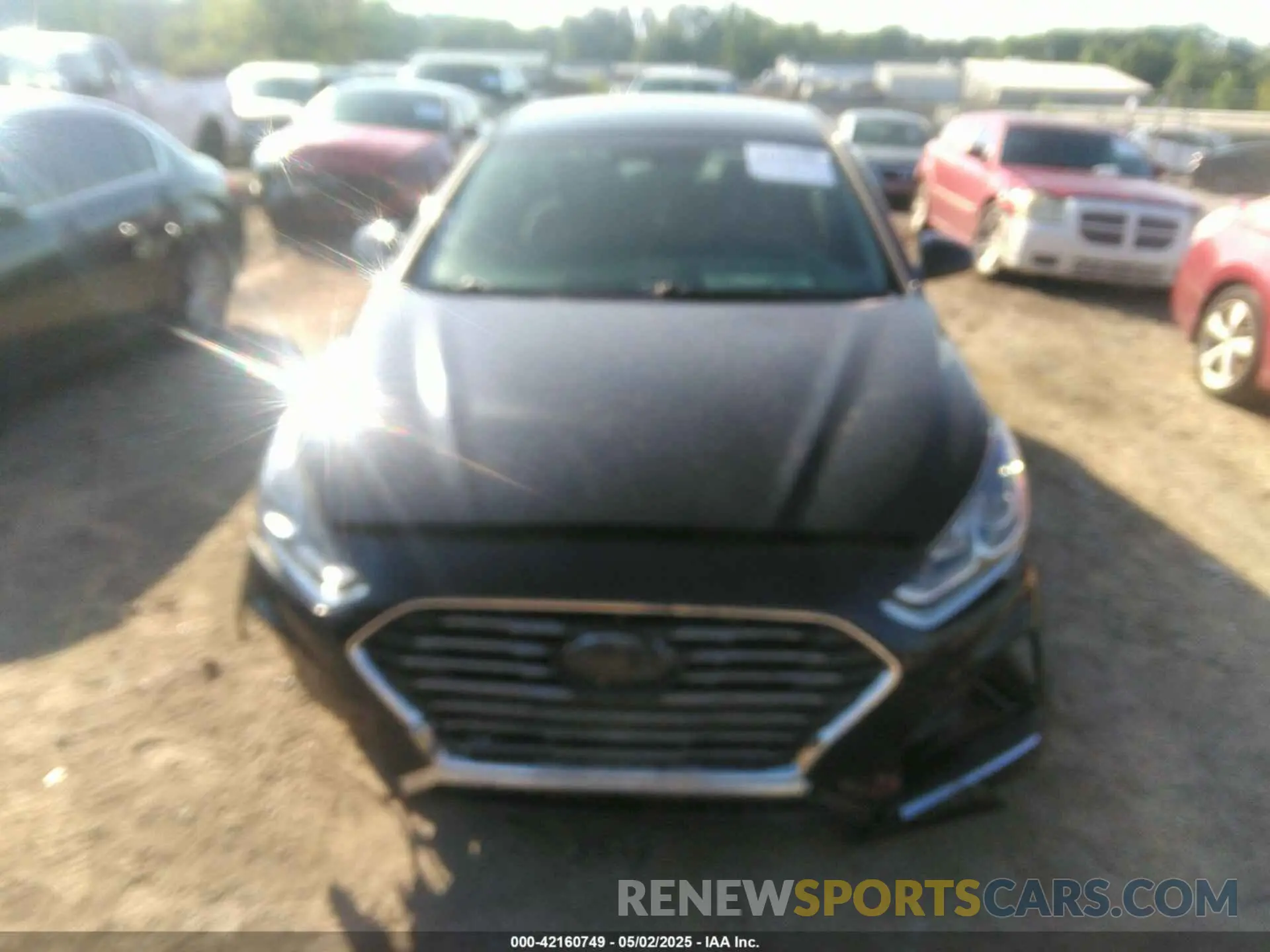 12 Photograph of a damaged car 5NPE24AF9KH749086 HYUNDAI SONATA 2019