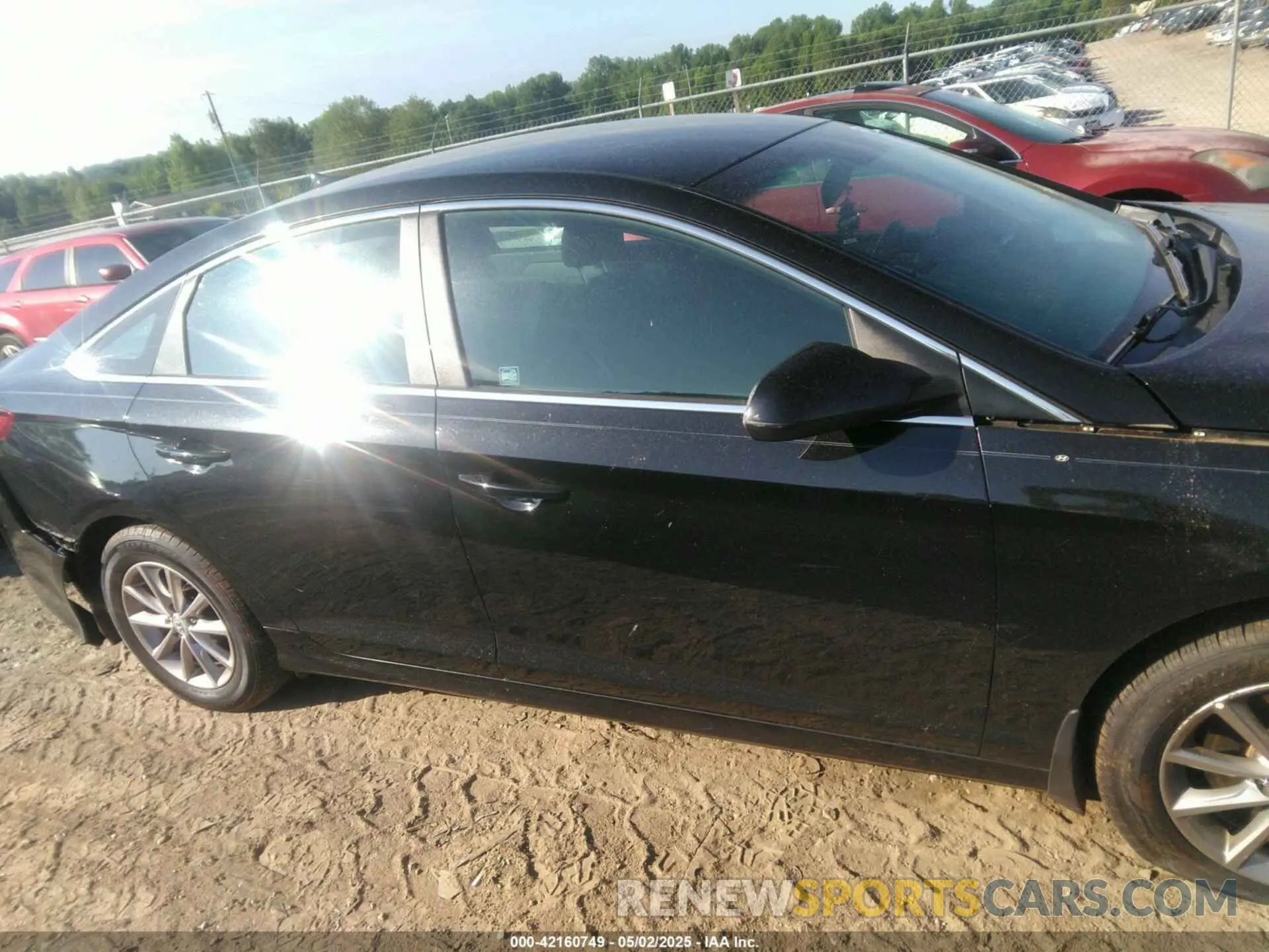 13 Photograph of a damaged car 5NPE24AF9KH749086 HYUNDAI SONATA 2019