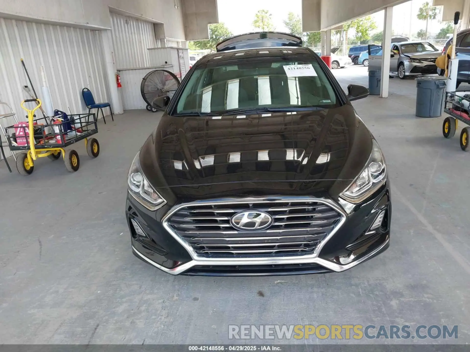 11 Photograph of a damaged car 5NPE24AF9KH752456 HYUNDAI SONATA 2019