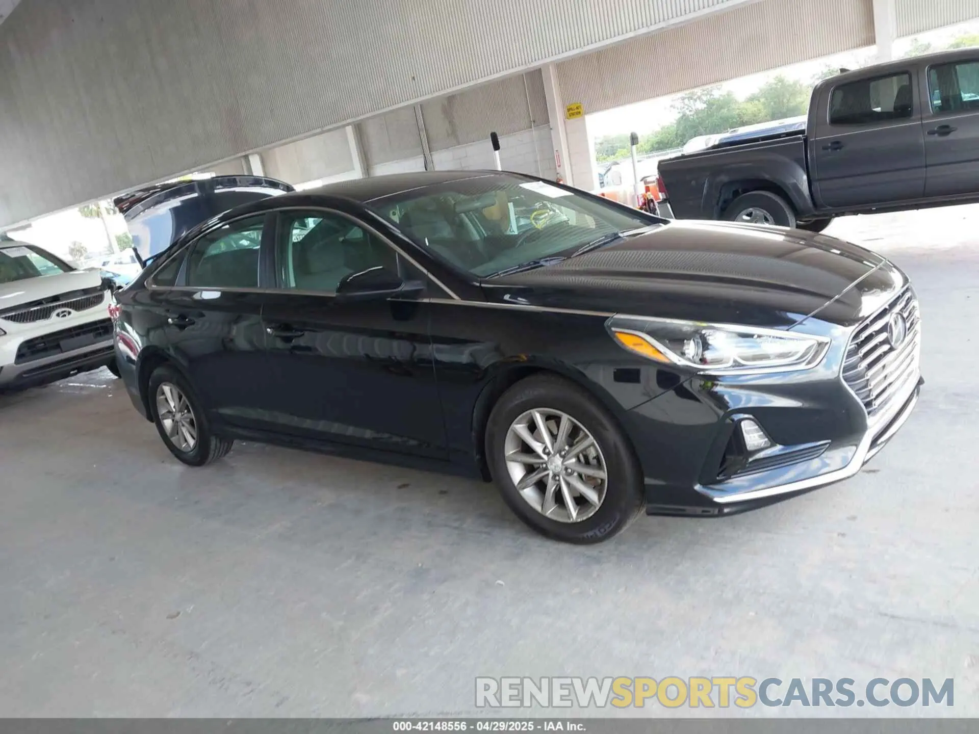 12 Photograph of a damaged car 5NPE24AF9KH752456 HYUNDAI SONATA 2019