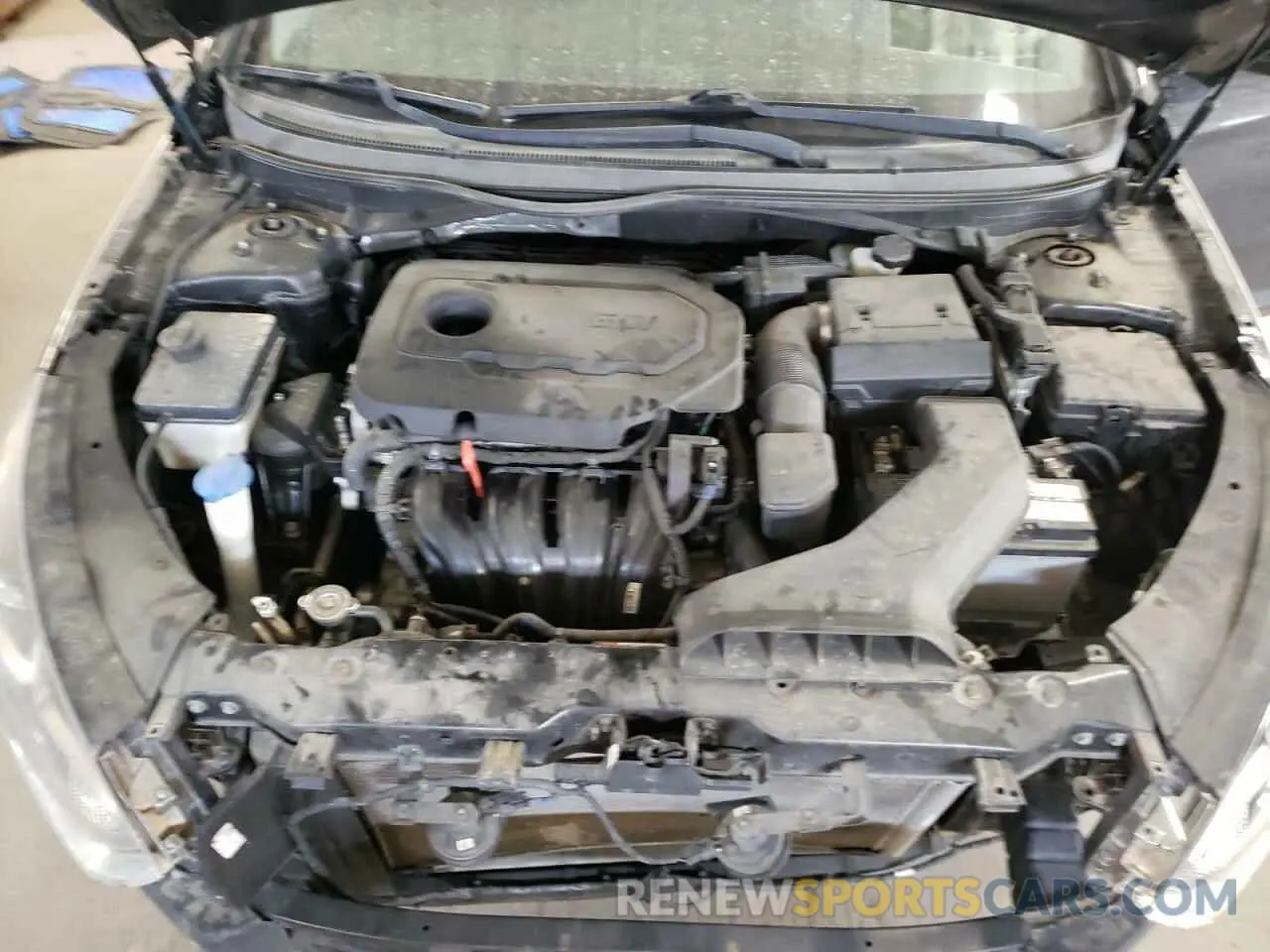 11 Photograph of a damaged car 5NPE24AF9KH762503 HYUNDAI SONATA 2019