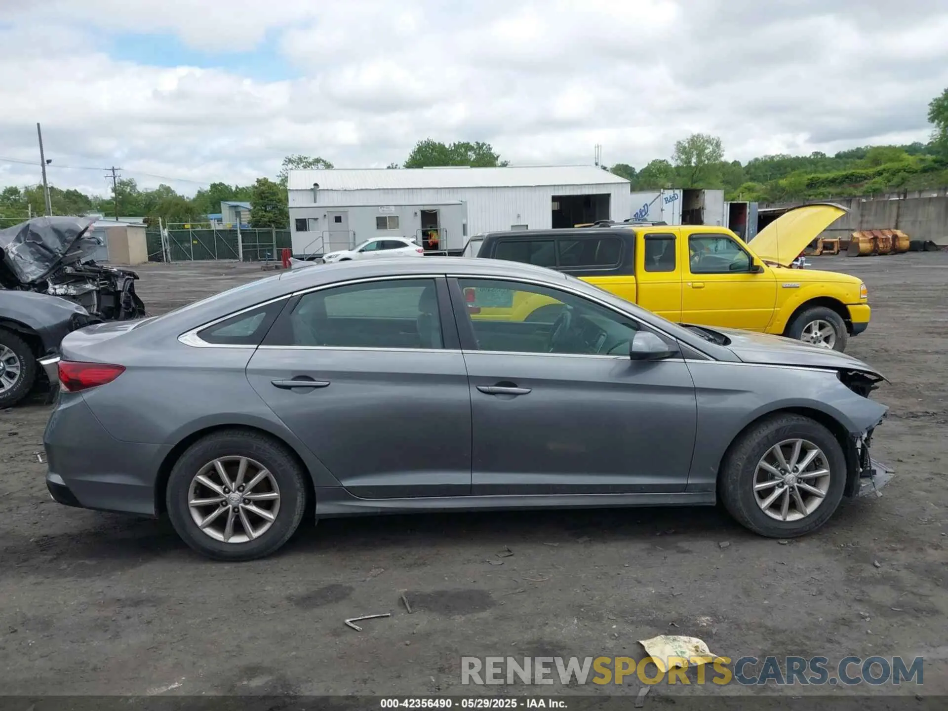 13 Photograph of a damaged car 5NPE24AF9KH766504 HYUNDAI SONATA 2019