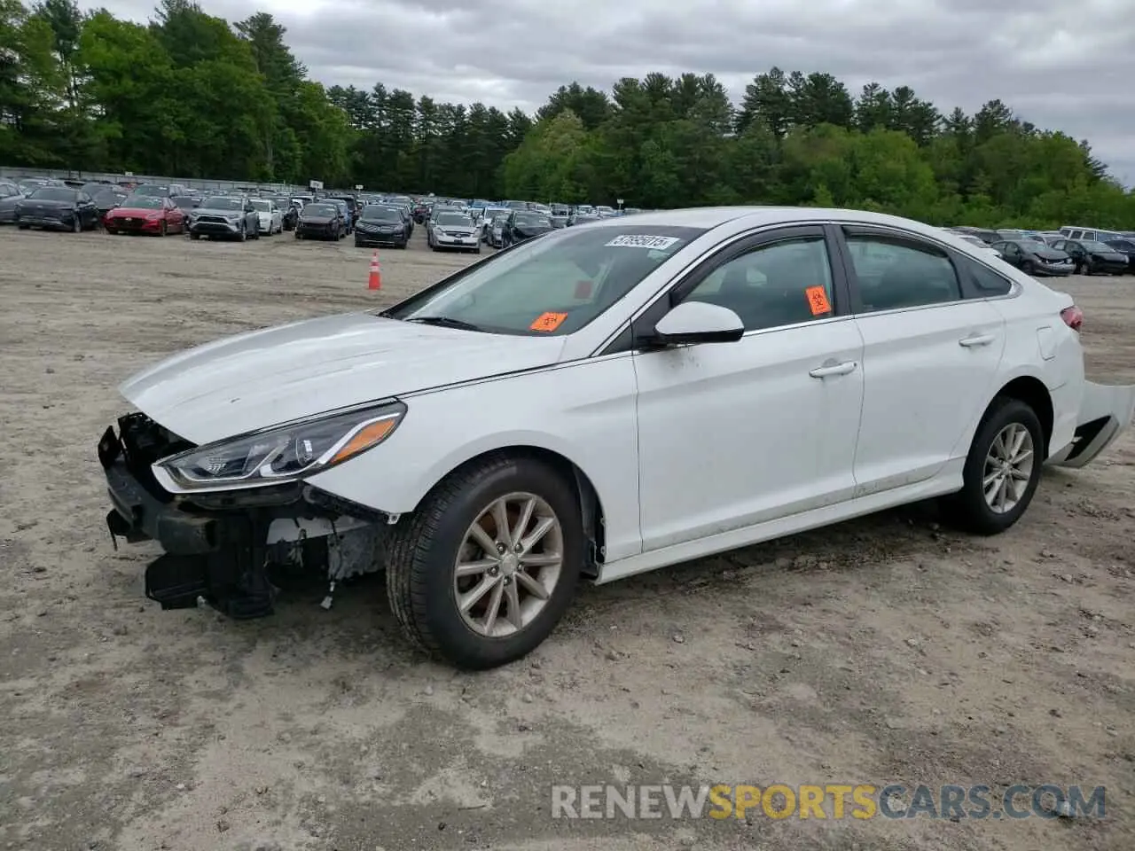 1 Photograph of a damaged car 5NPE24AF9KH785974 HYUNDAI SONATA 2019