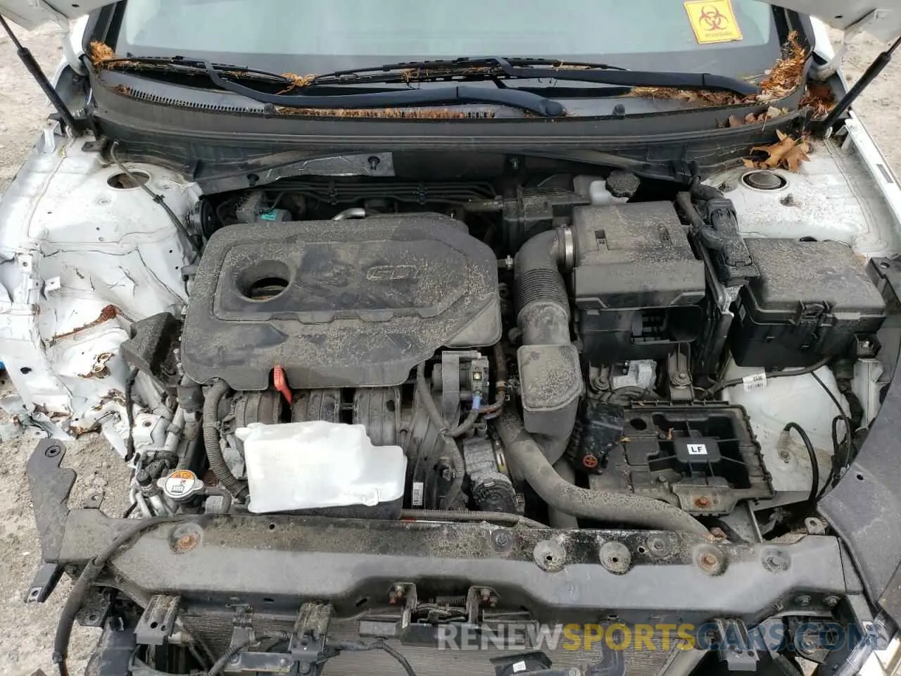 11 Photograph of a damaged car 5NPE24AF9KH785974 HYUNDAI SONATA 2019