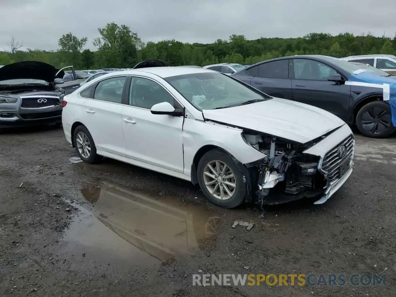 4 Photograph of a damaged car 5NPE24AF9KH805088 HYUNDAI SONATA 2019