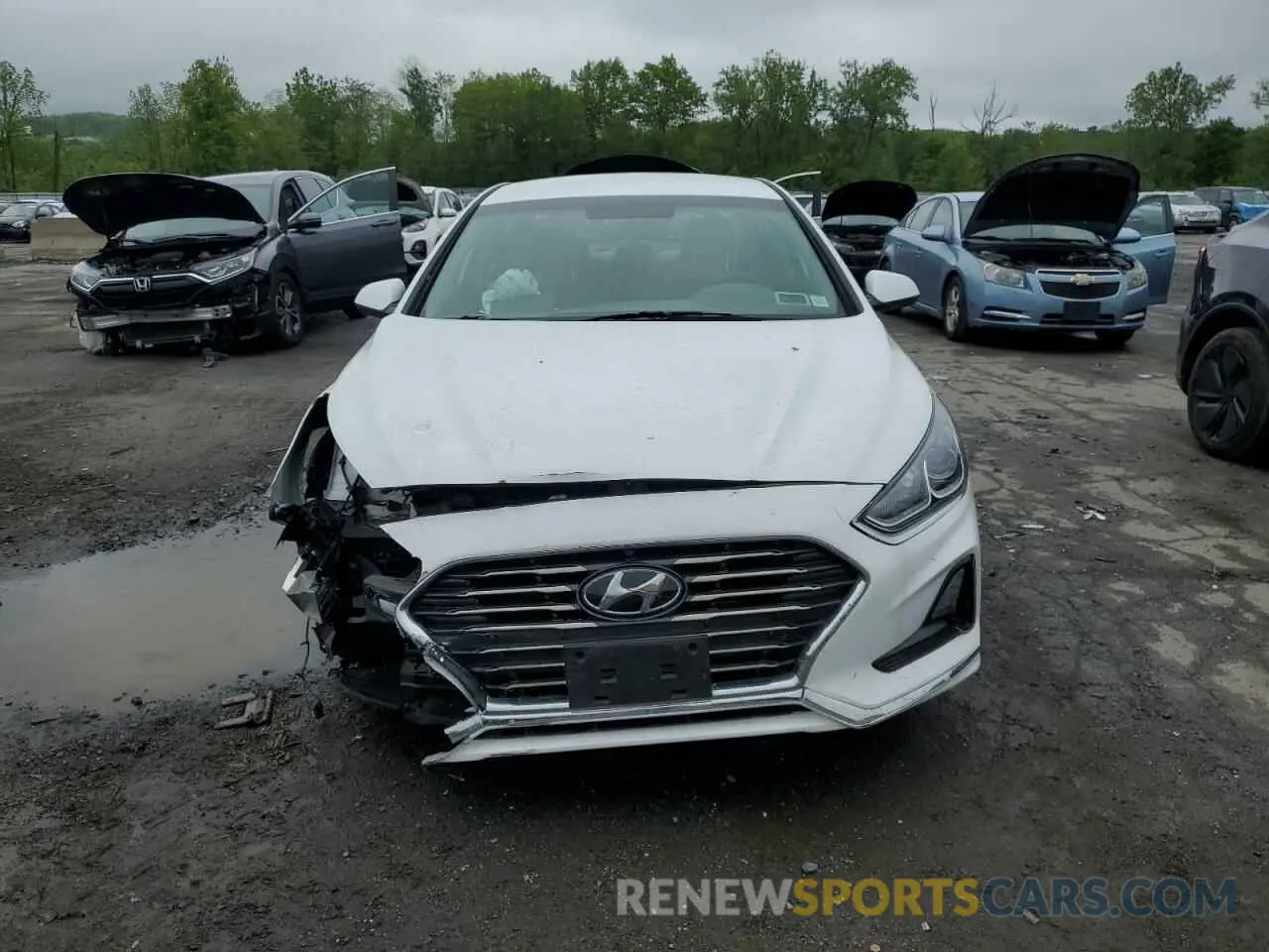 5 Photograph of a damaged car 5NPE24AF9KH805088 HYUNDAI SONATA 2019