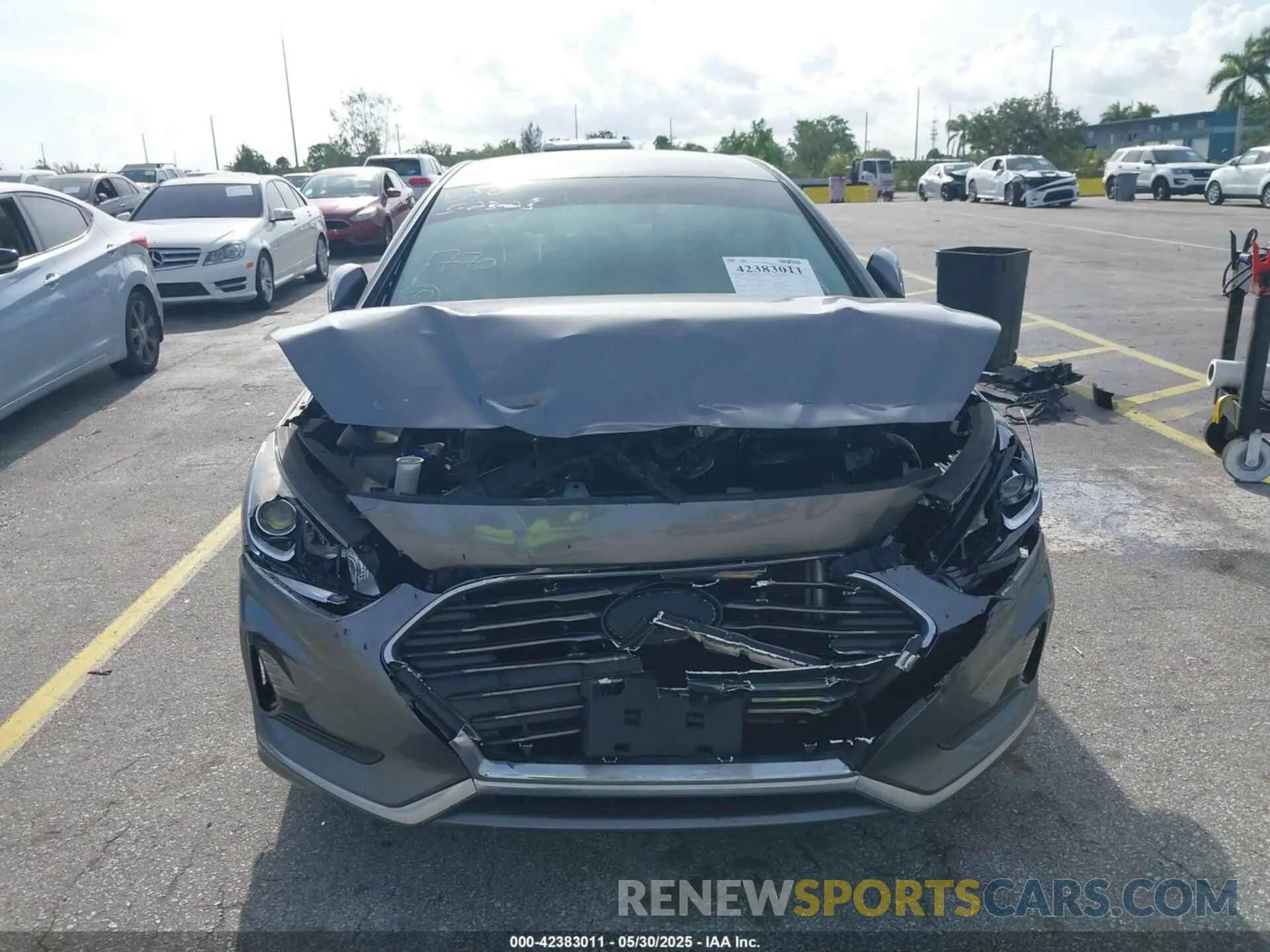 12 Photograph of a damaged car 5NPE24AFXKH729770 HYUNDAI SONATA 2019