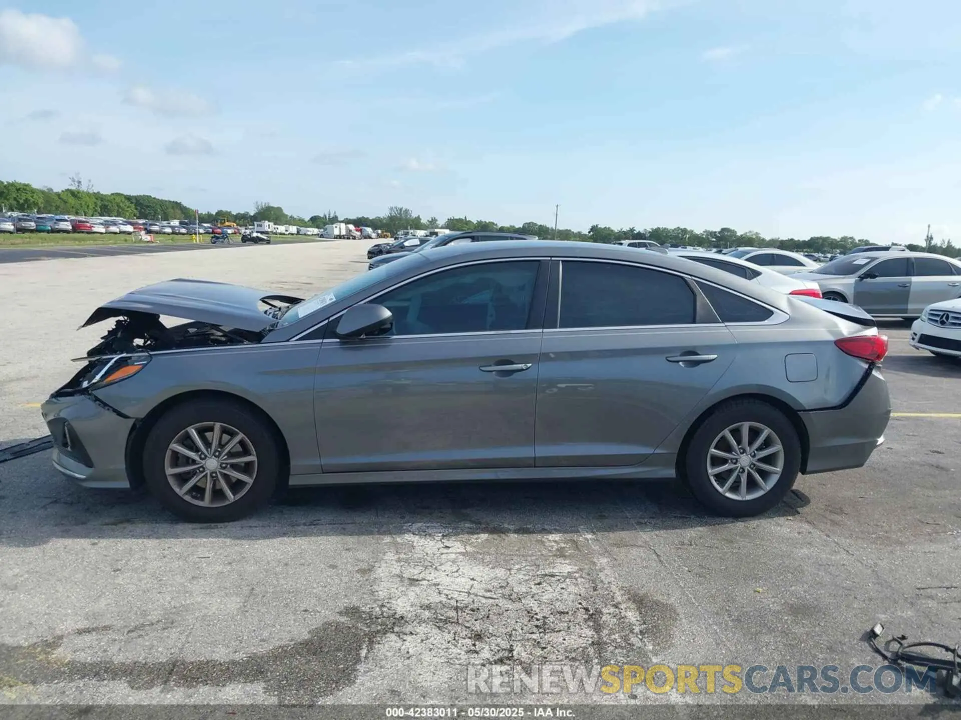 14 Photograph of a damaged car 5NPE24AFXKH729770 HYUNDAI SONATA 2019