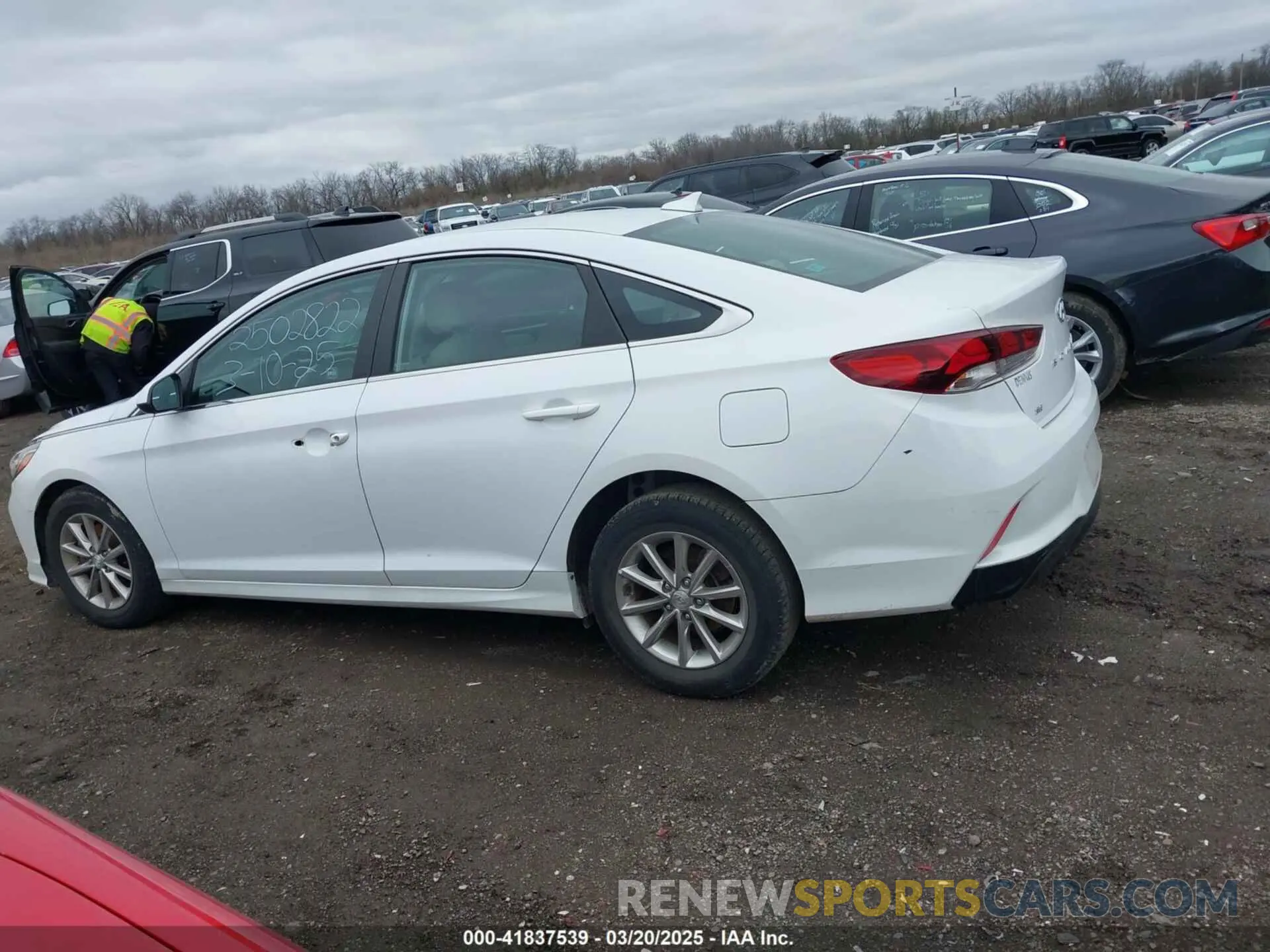 13 Photograph of a damaged car 5NPE24AFXKH730983 HYUNDAI SONATA 2019