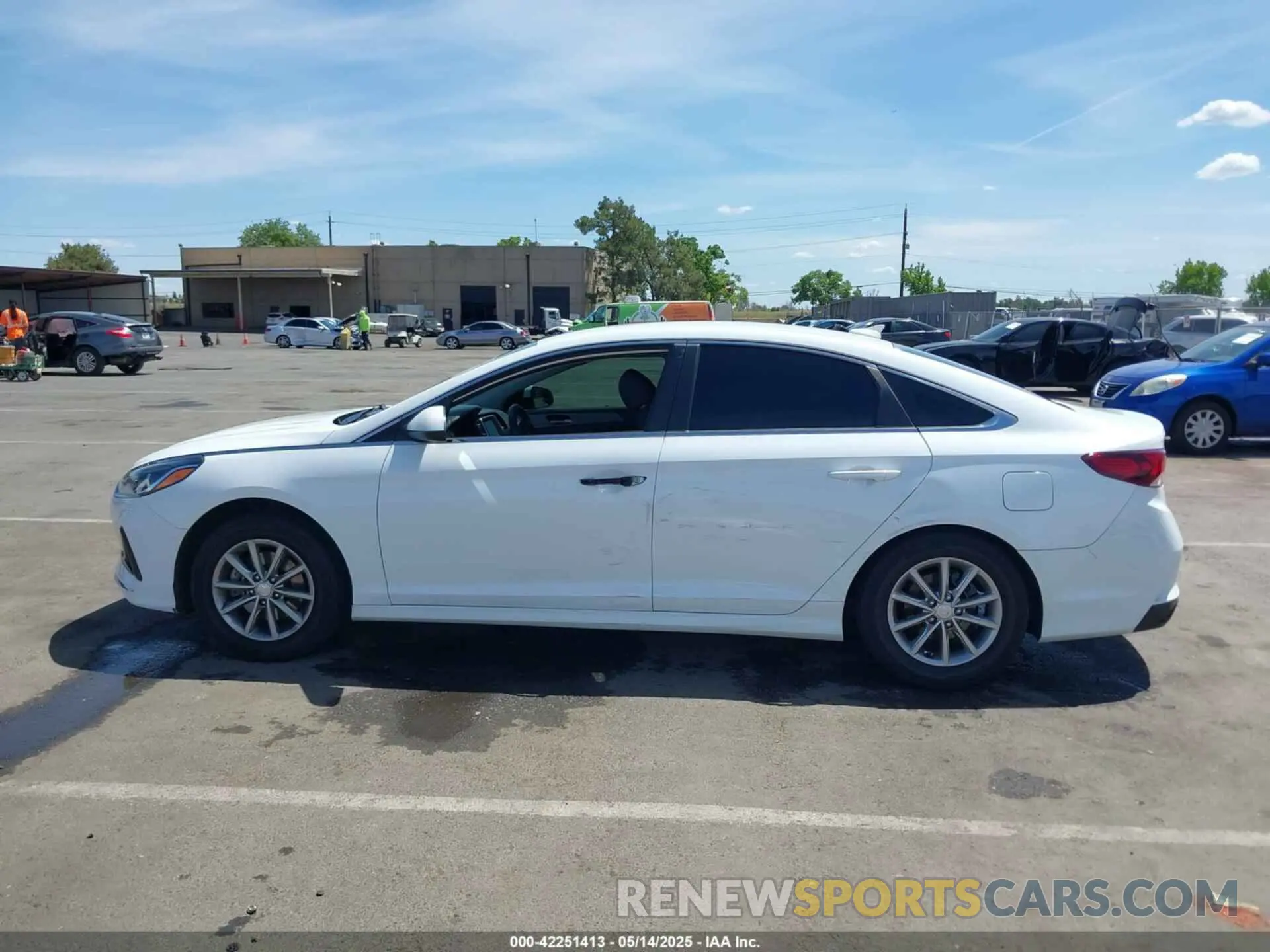 13 Photograph of a damaged car 5NPE24AFXKH739599 HYUNDAI SONATA 2019