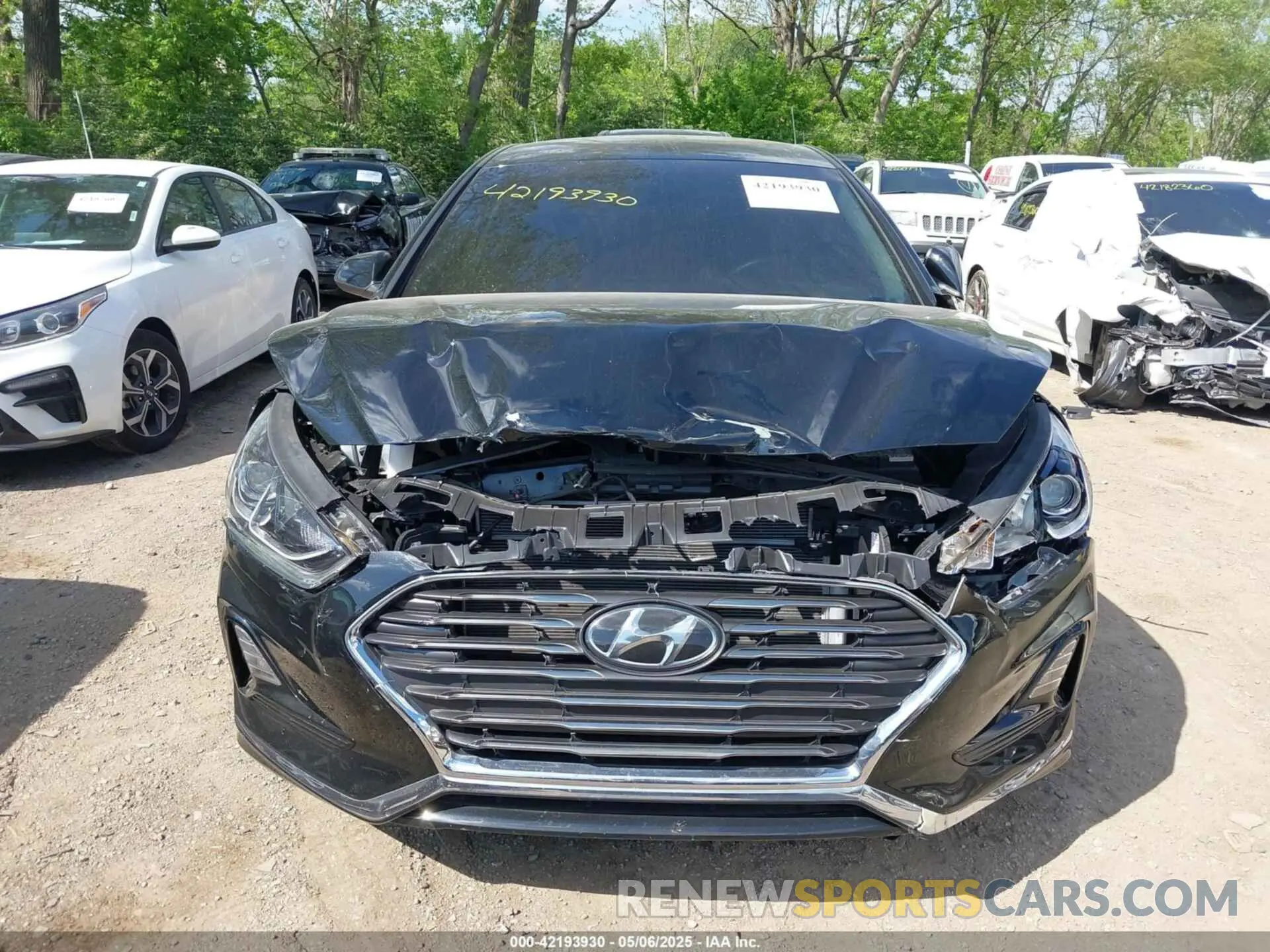 12 Photograph of a damaged car 5NPE24AFXKH760243 HYUNDAI SONATA 2019