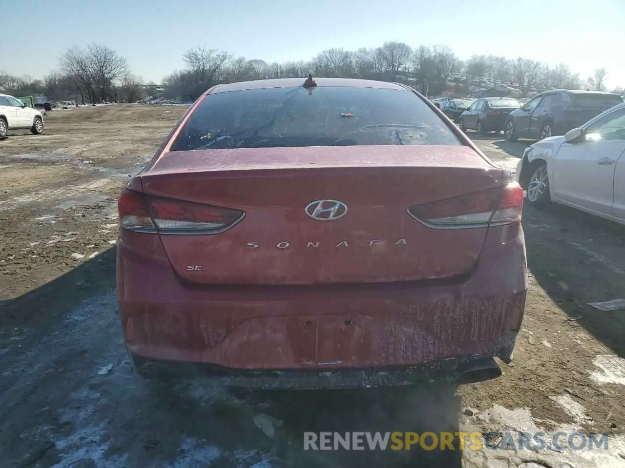 6 Photograph of a damaged car 5NPE24AFXKH798412 HYUNDAI SONATA 2019