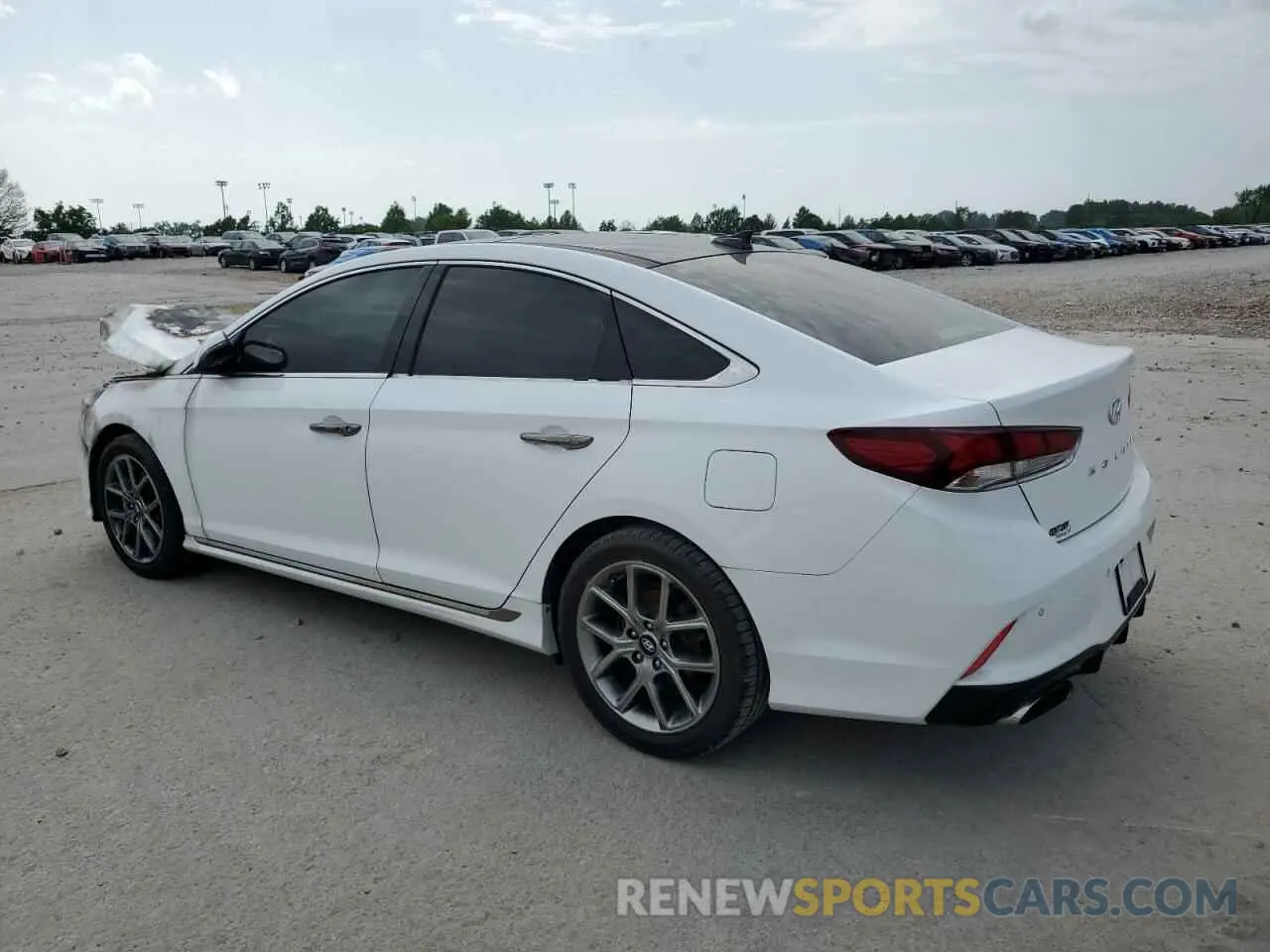 2 Photograph of a damaged car 5NPE34AB6KH780774 HYUNDAI SONATA 2019