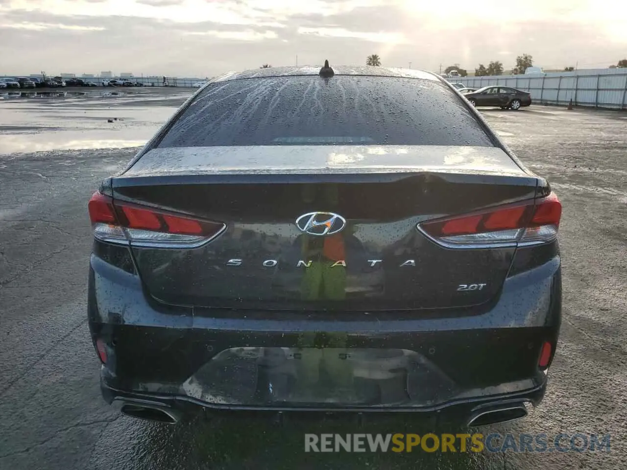 6 Photograph of a damaged car 5NPE34AB7KH754202 HYUNDAI SONATA 2019
