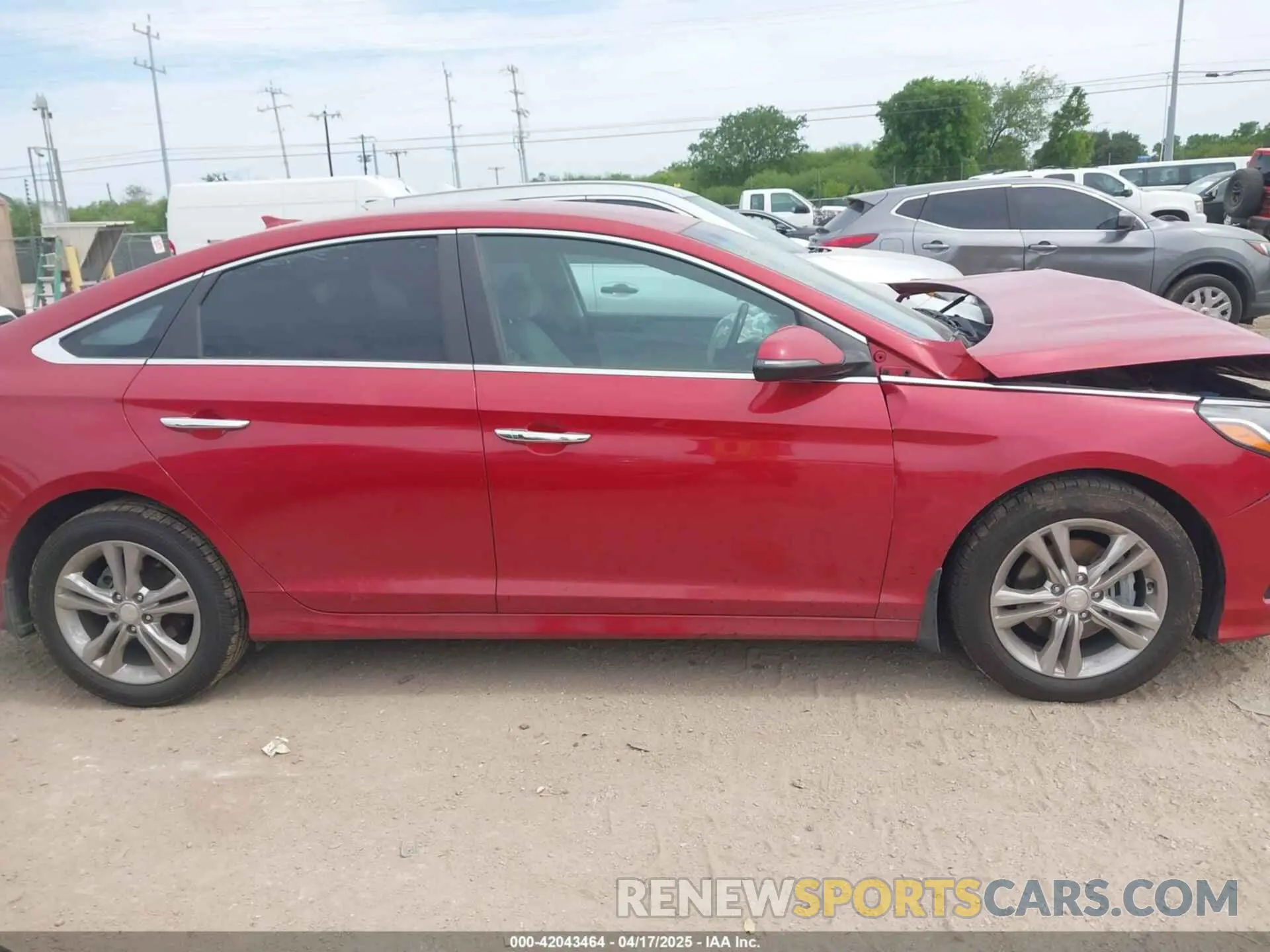 13 Photograph of a damaged car 5NPE34AF0KH766176 HYUNDAI SONATA 2019